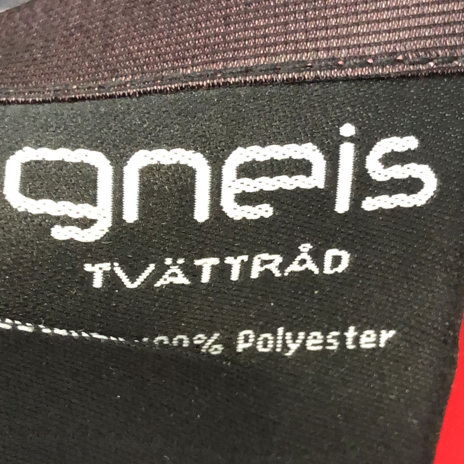 Gneis