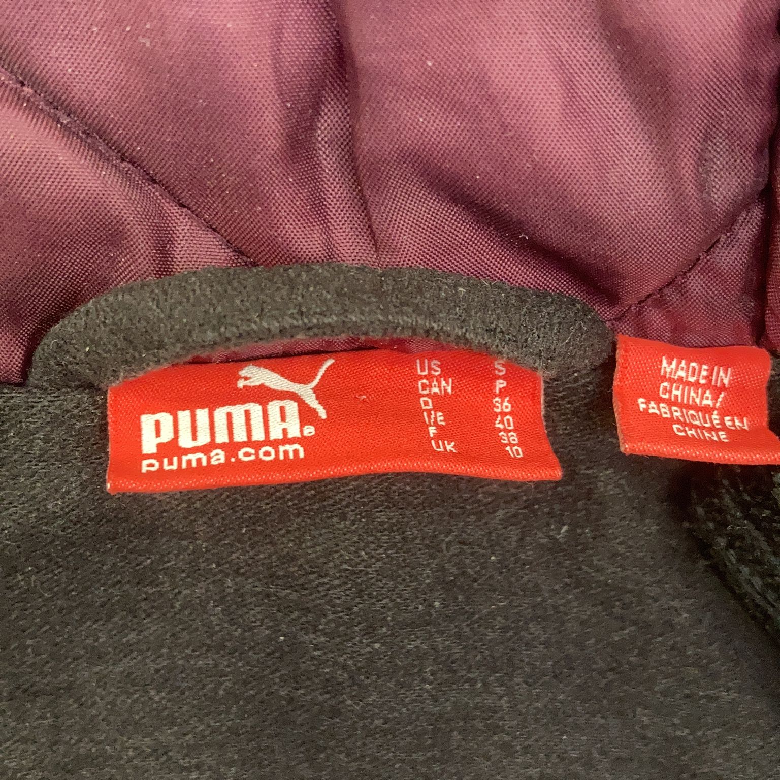 Puma