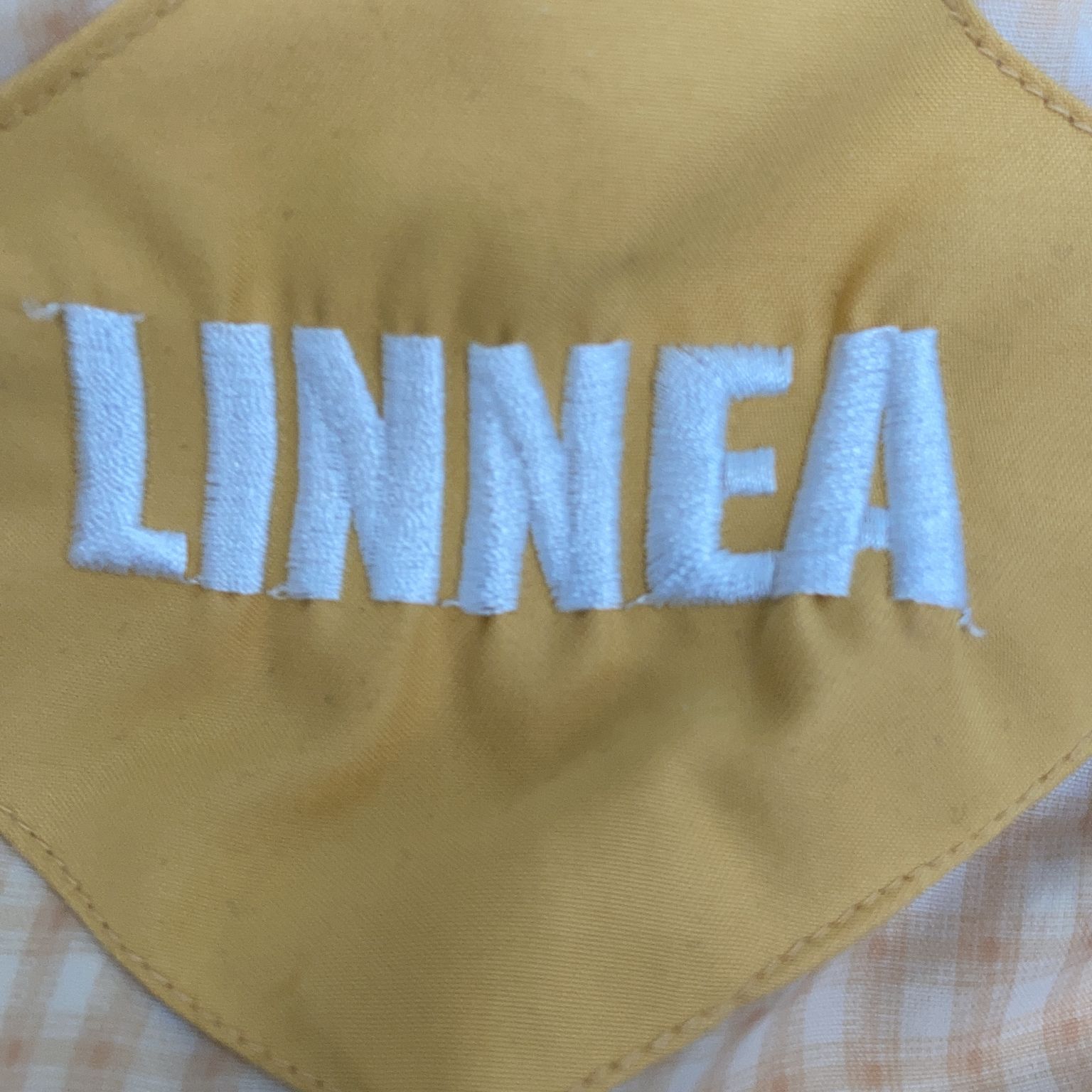 Linnea