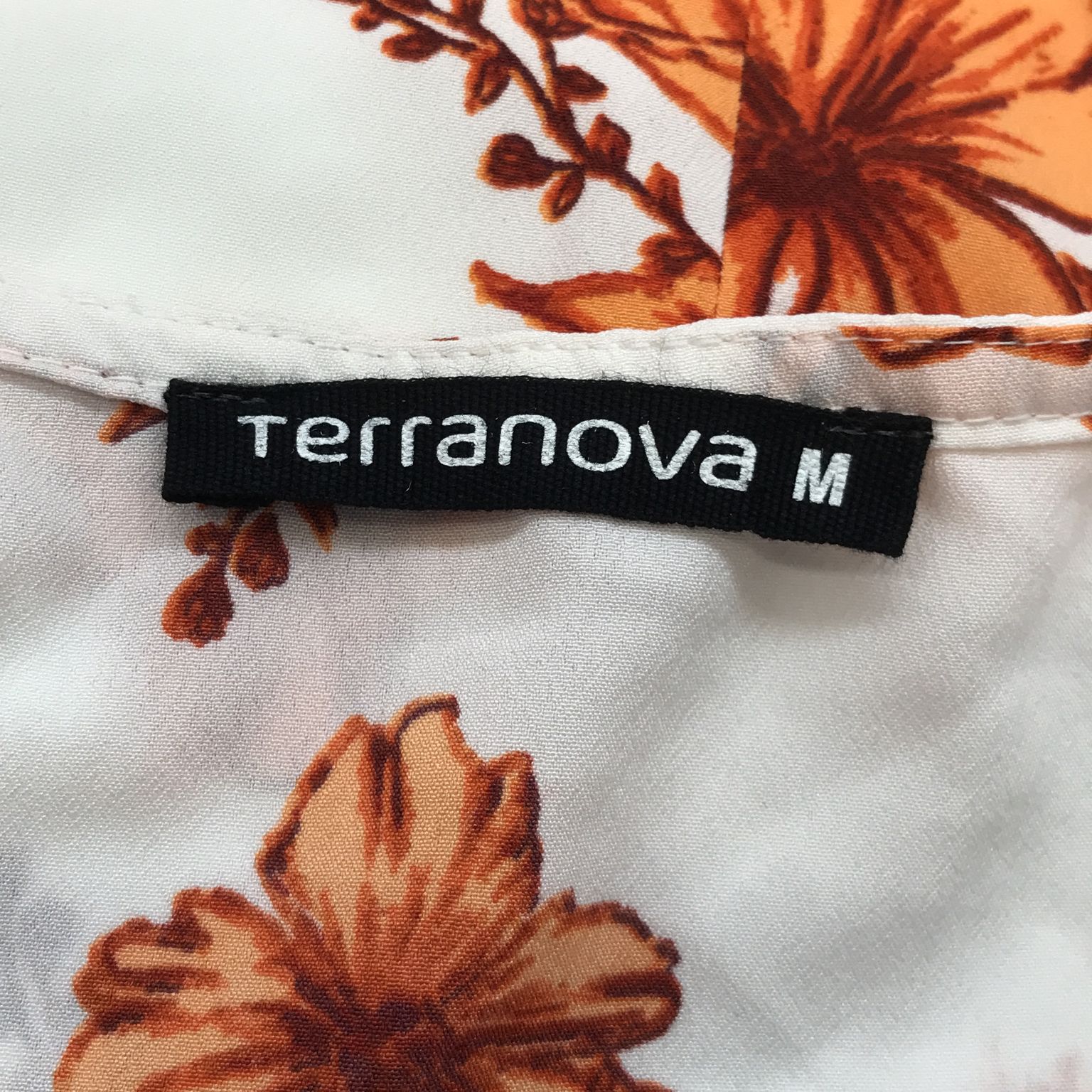 Terranova