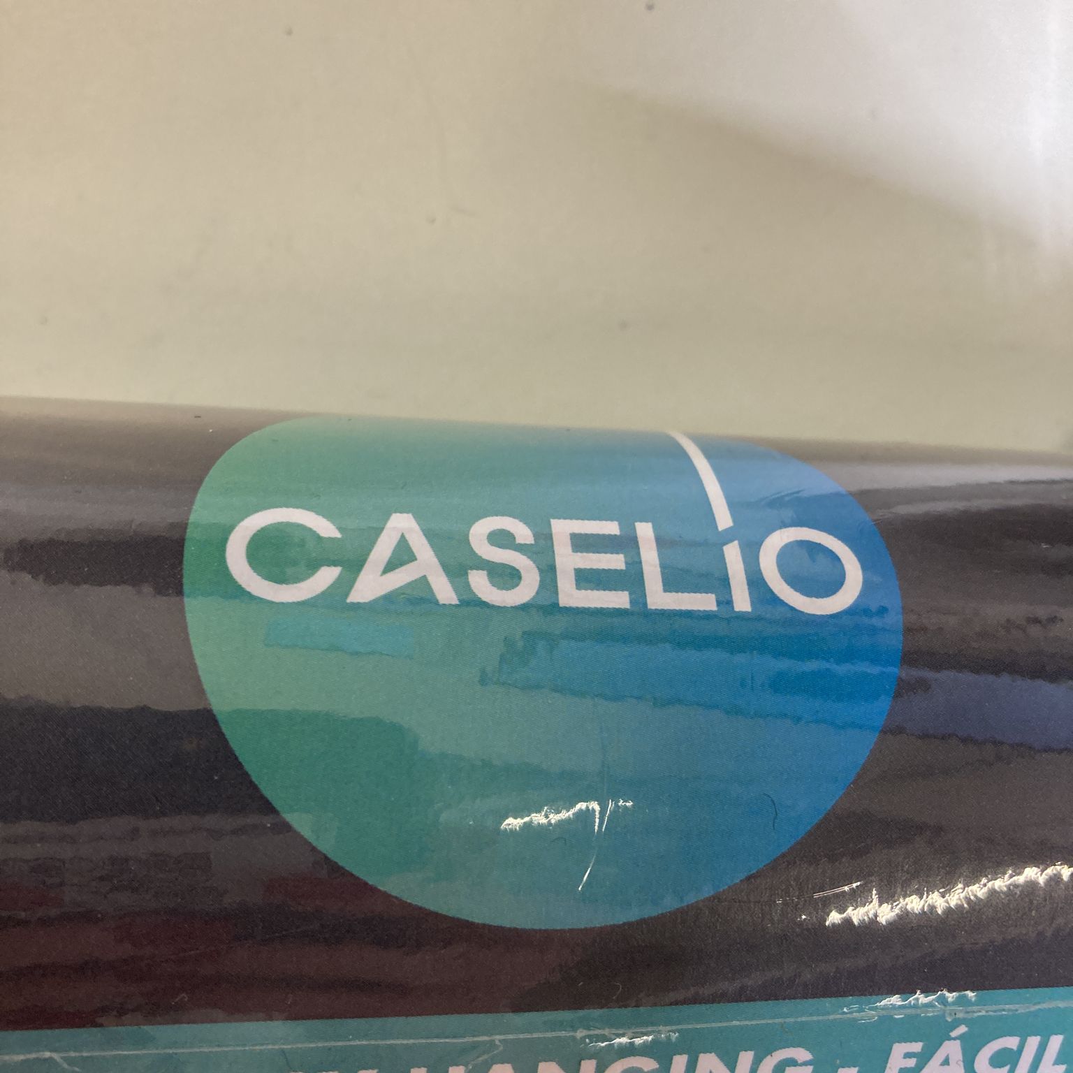 Caselio