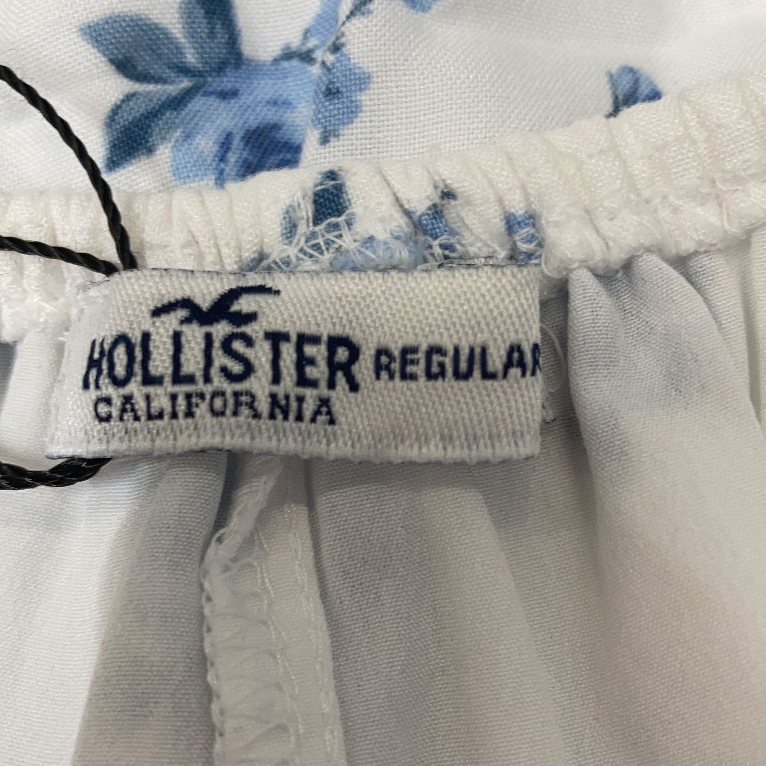 Hollister