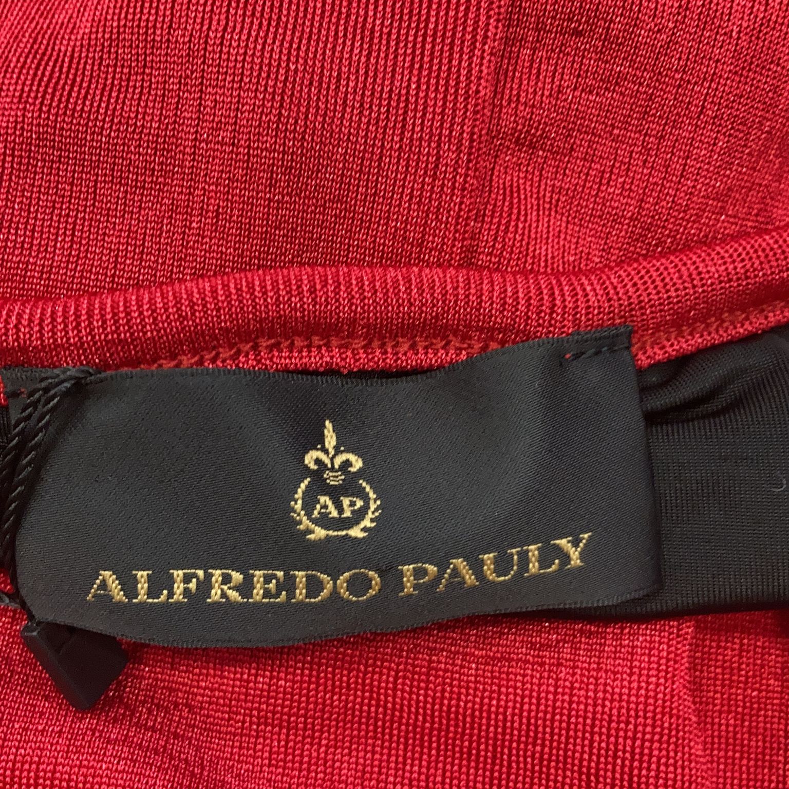 Alfredo Pauly