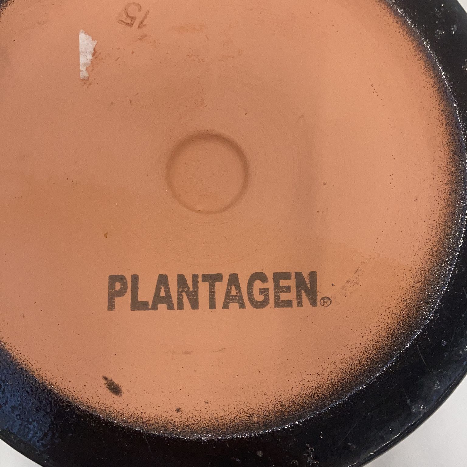 Plantagen