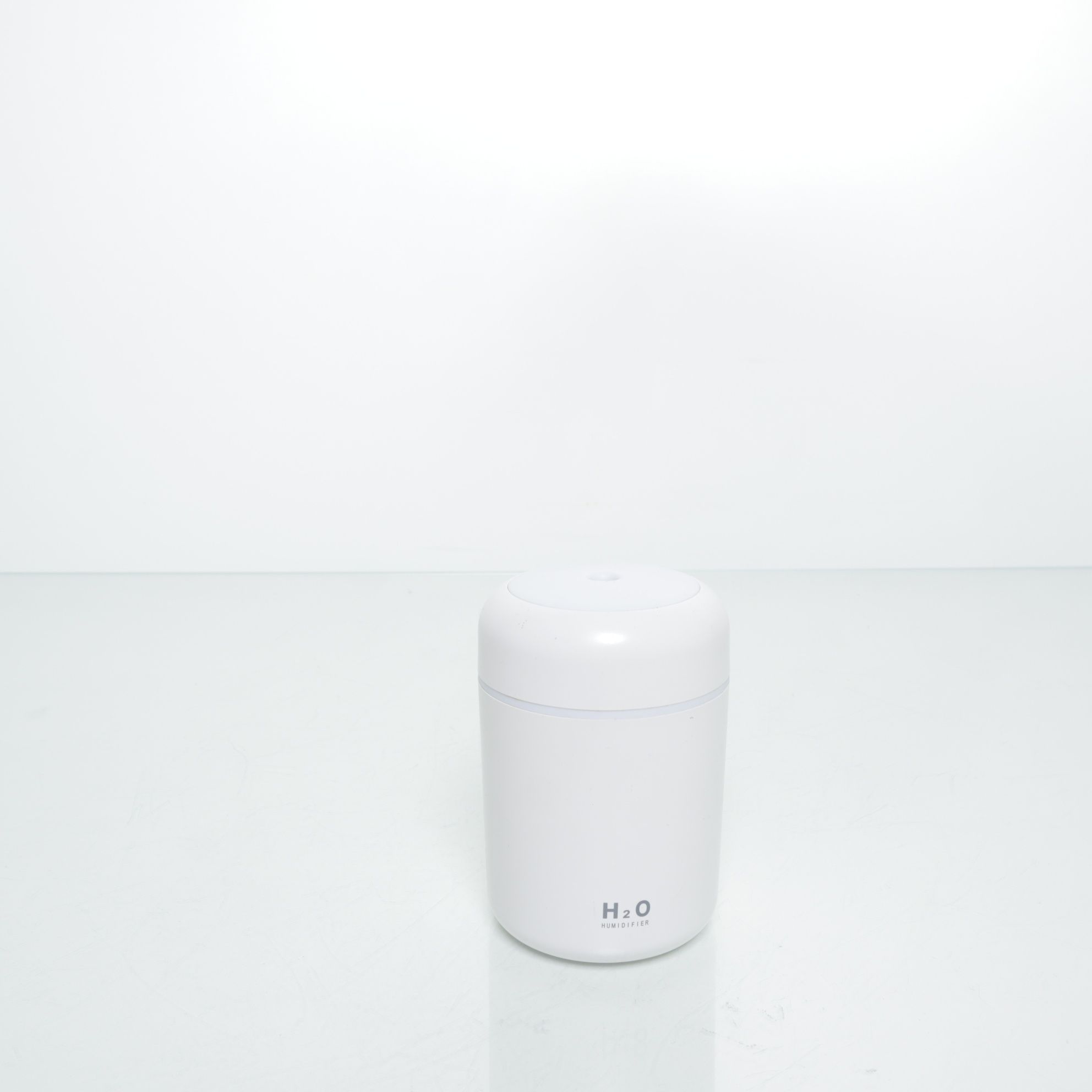 H2O Humidifier