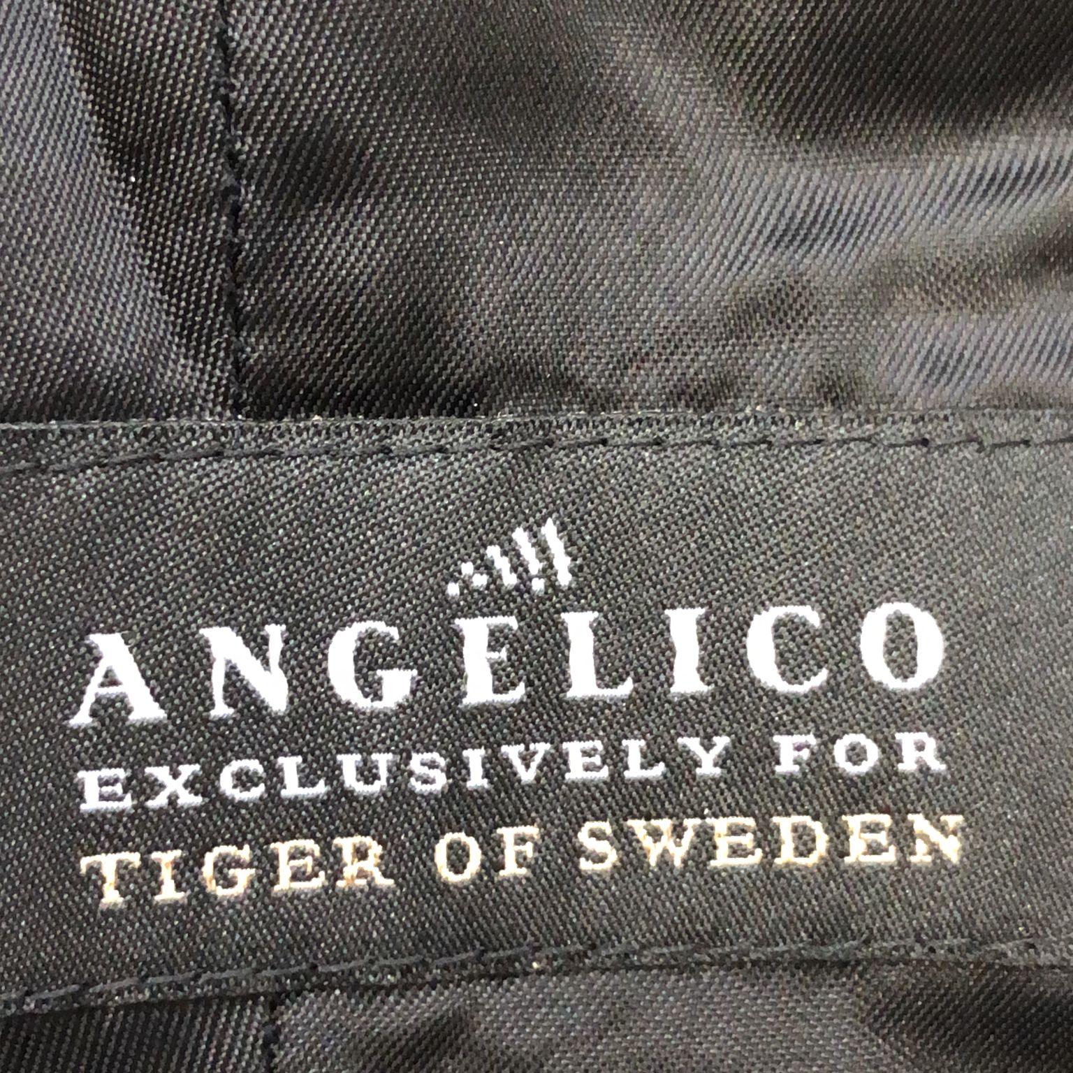 Tiger of Sweden