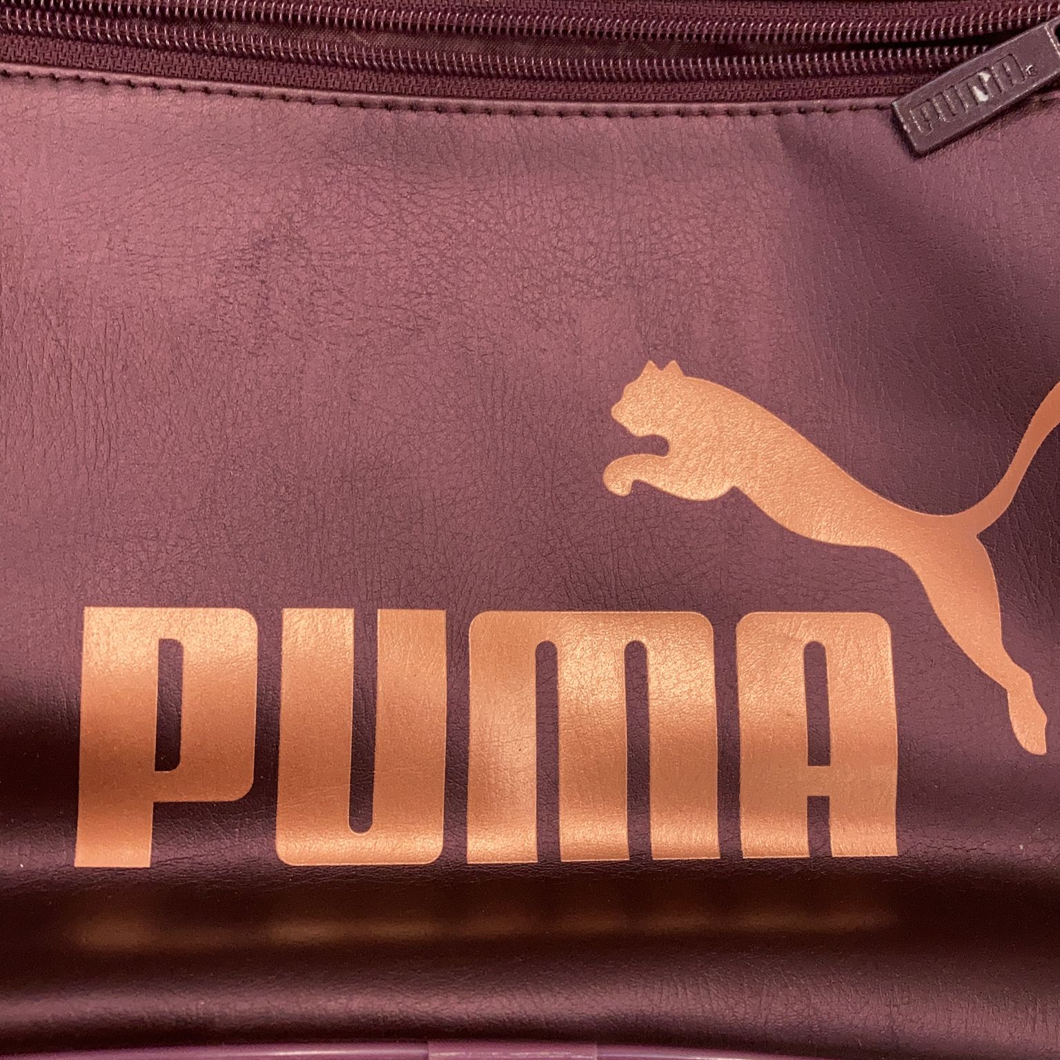 Puma