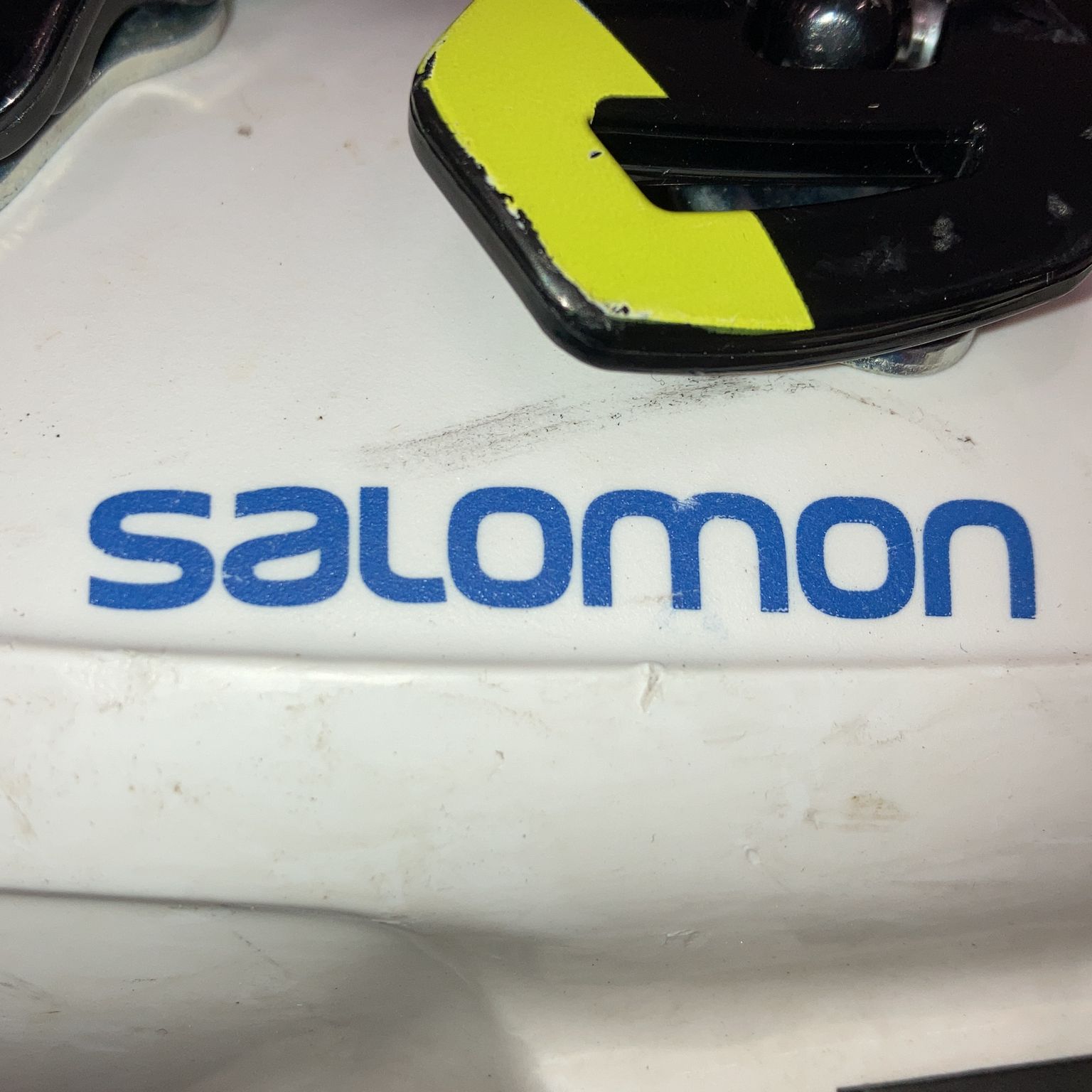 Salomon