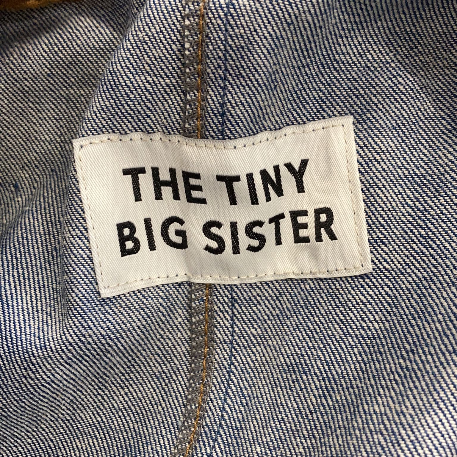 The Tiny Big Sister