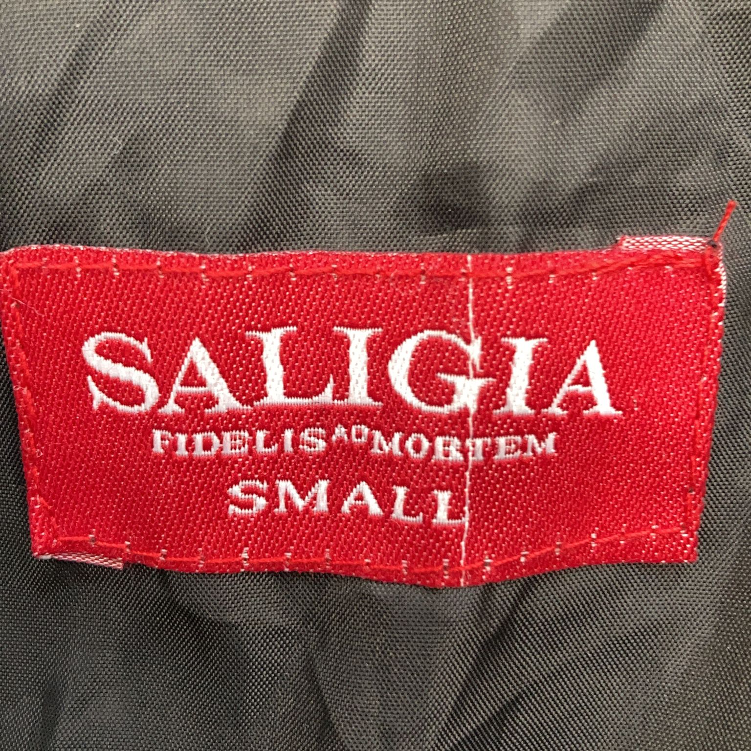 Saligia