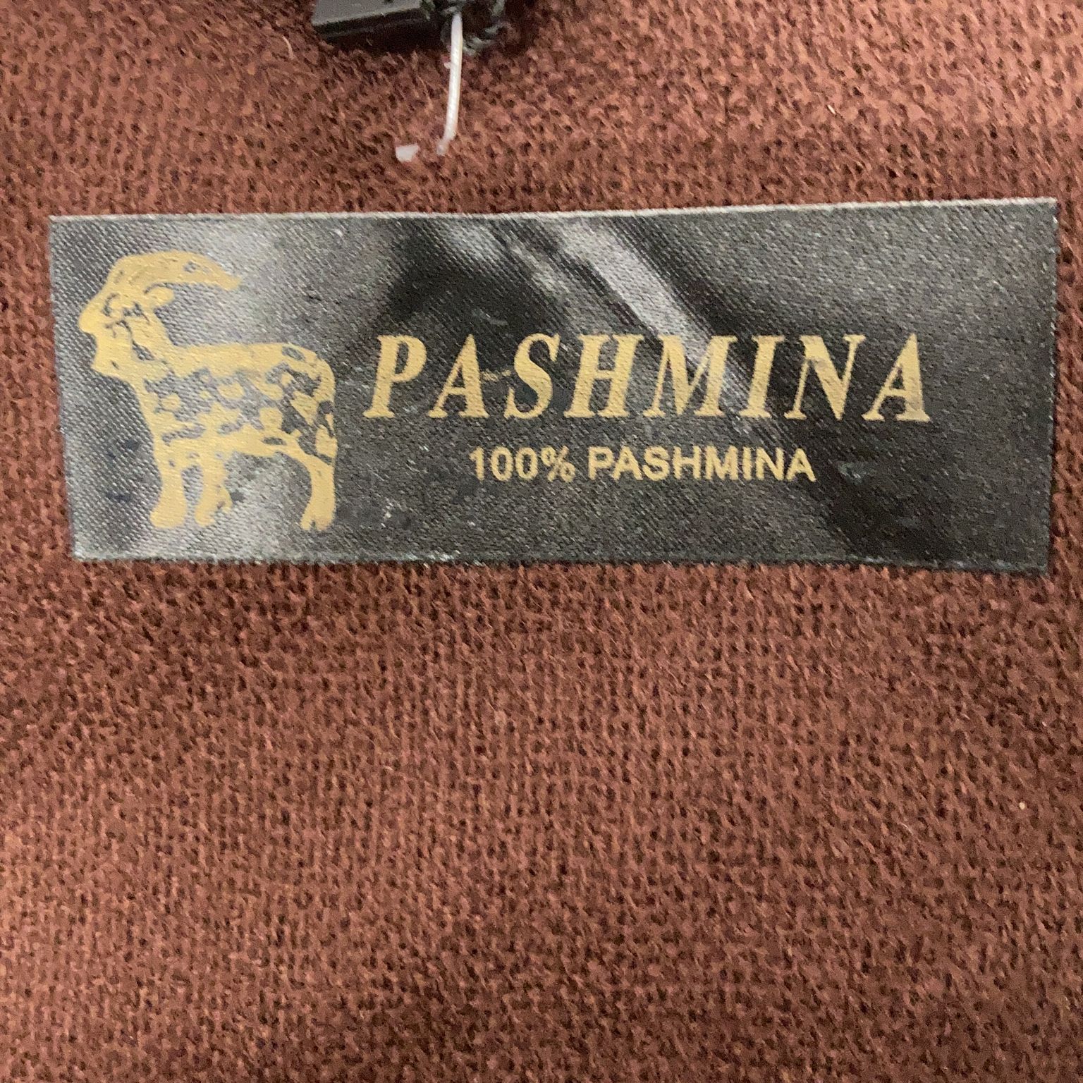 Pashmina