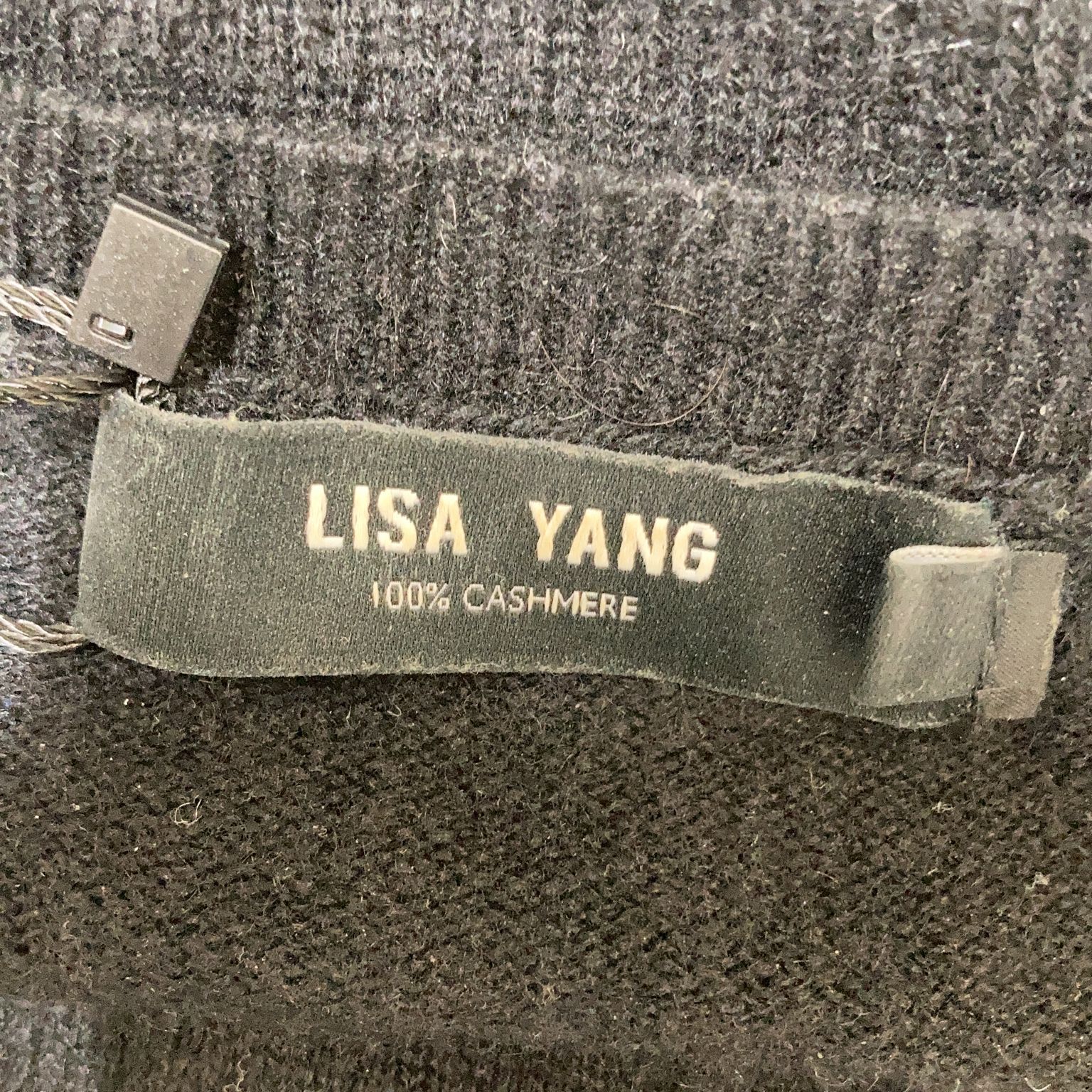 Lisa Yang