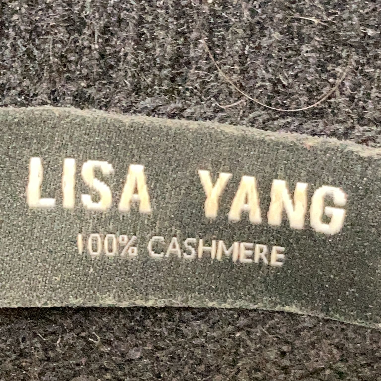 Lisa Yang