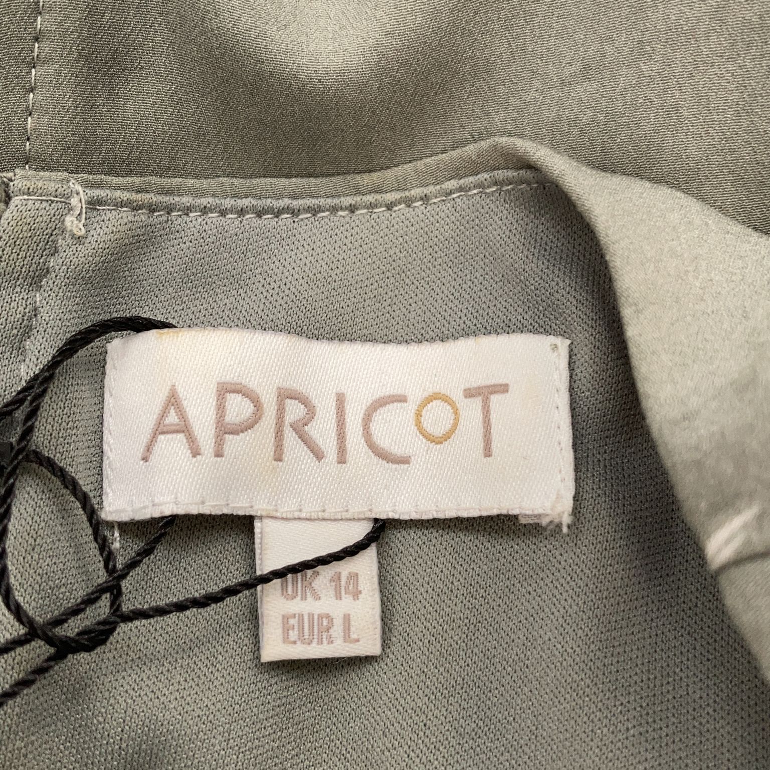 Apricot