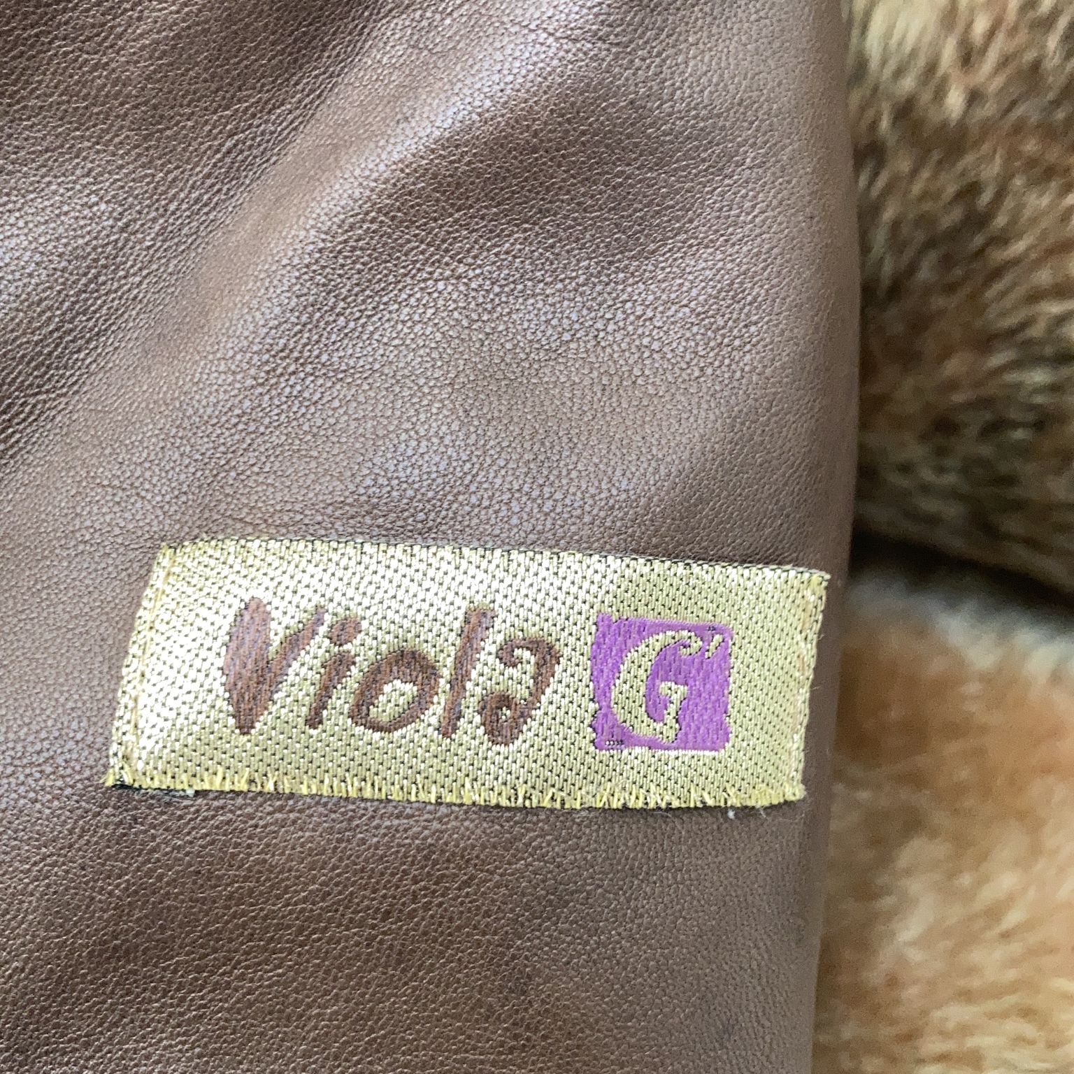 Viola