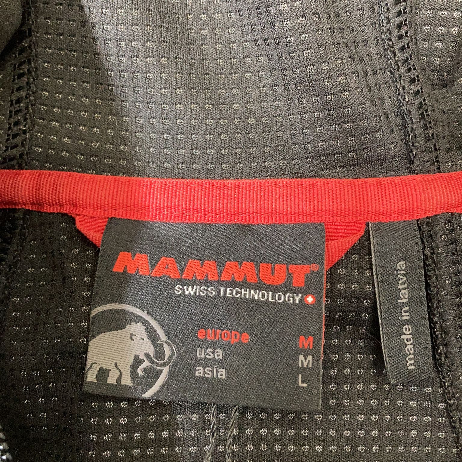 Mammut