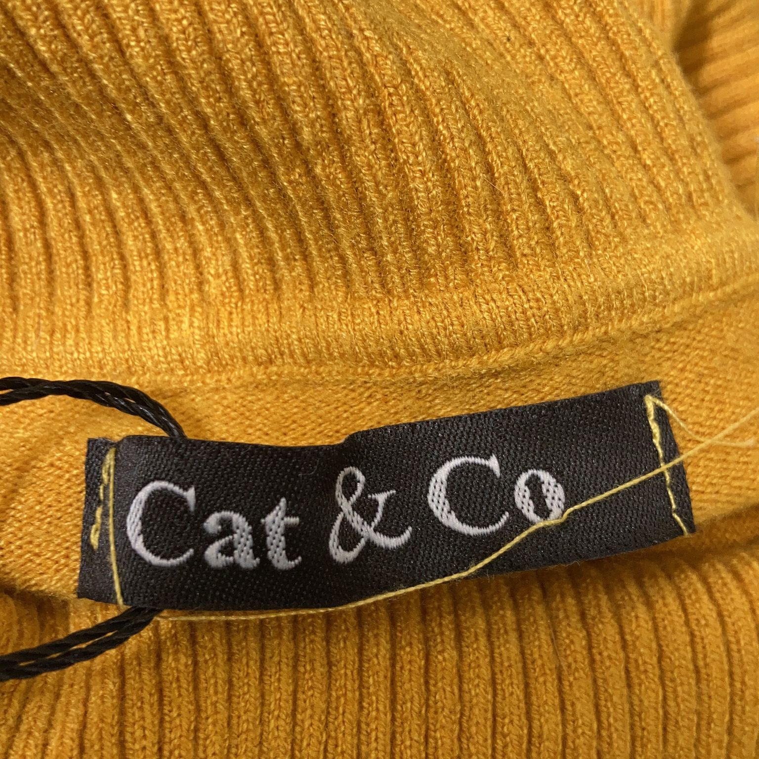 Cat  Co