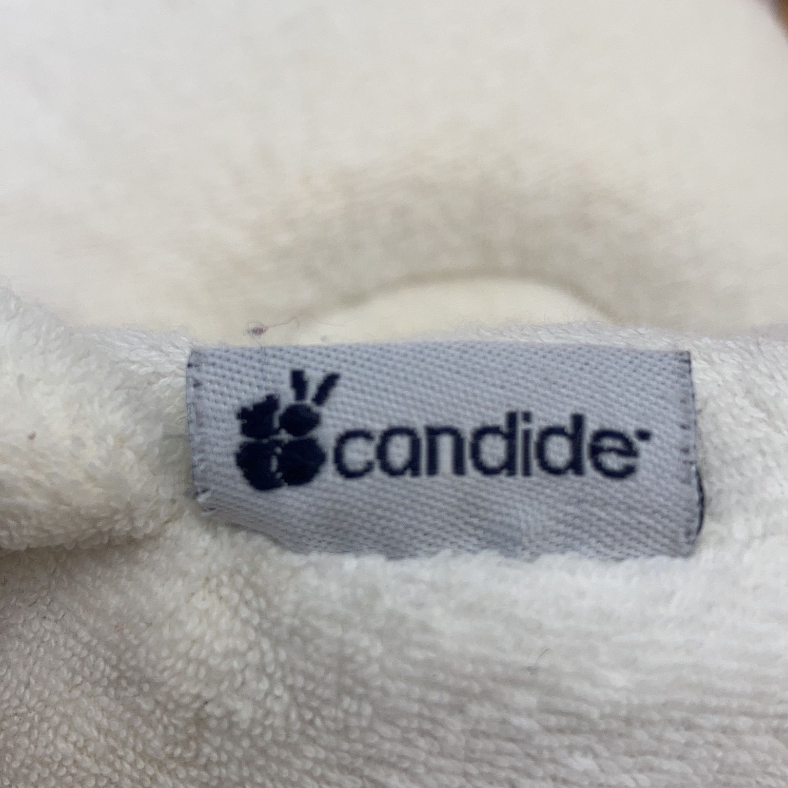 Candide