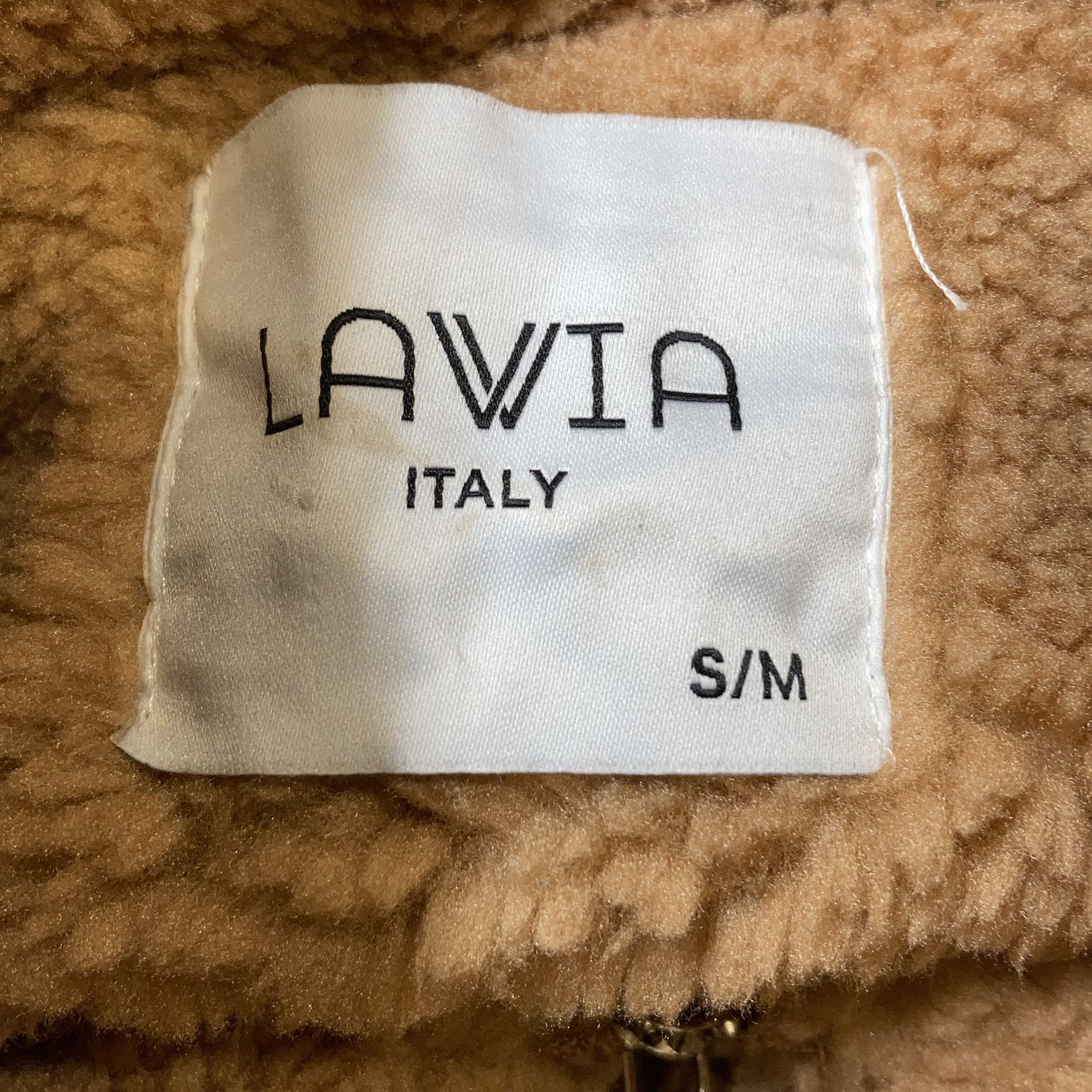 Lavia