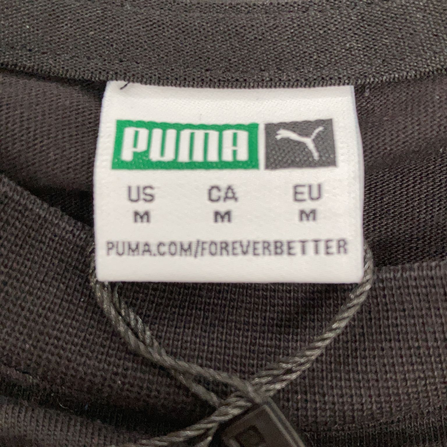 Puma