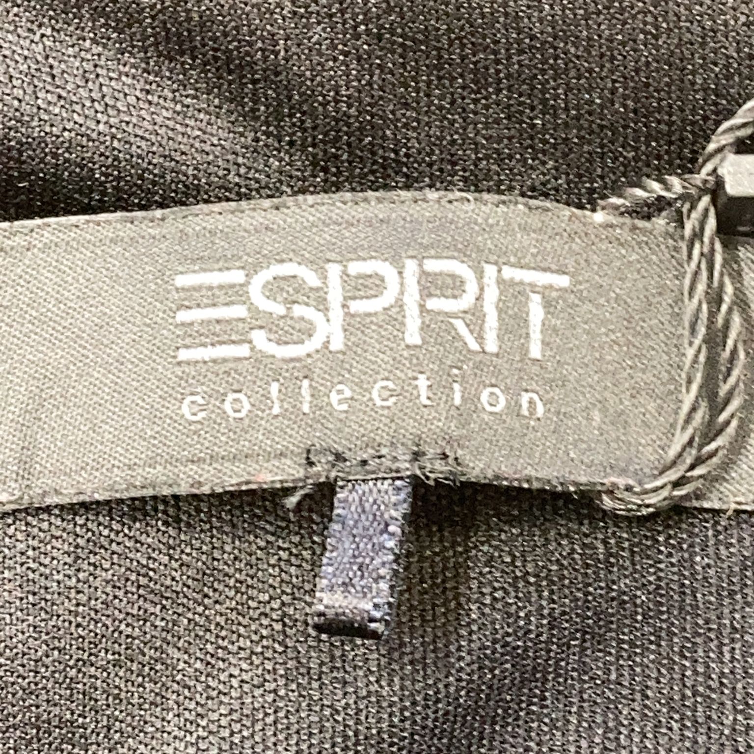 ESPRIT Collection