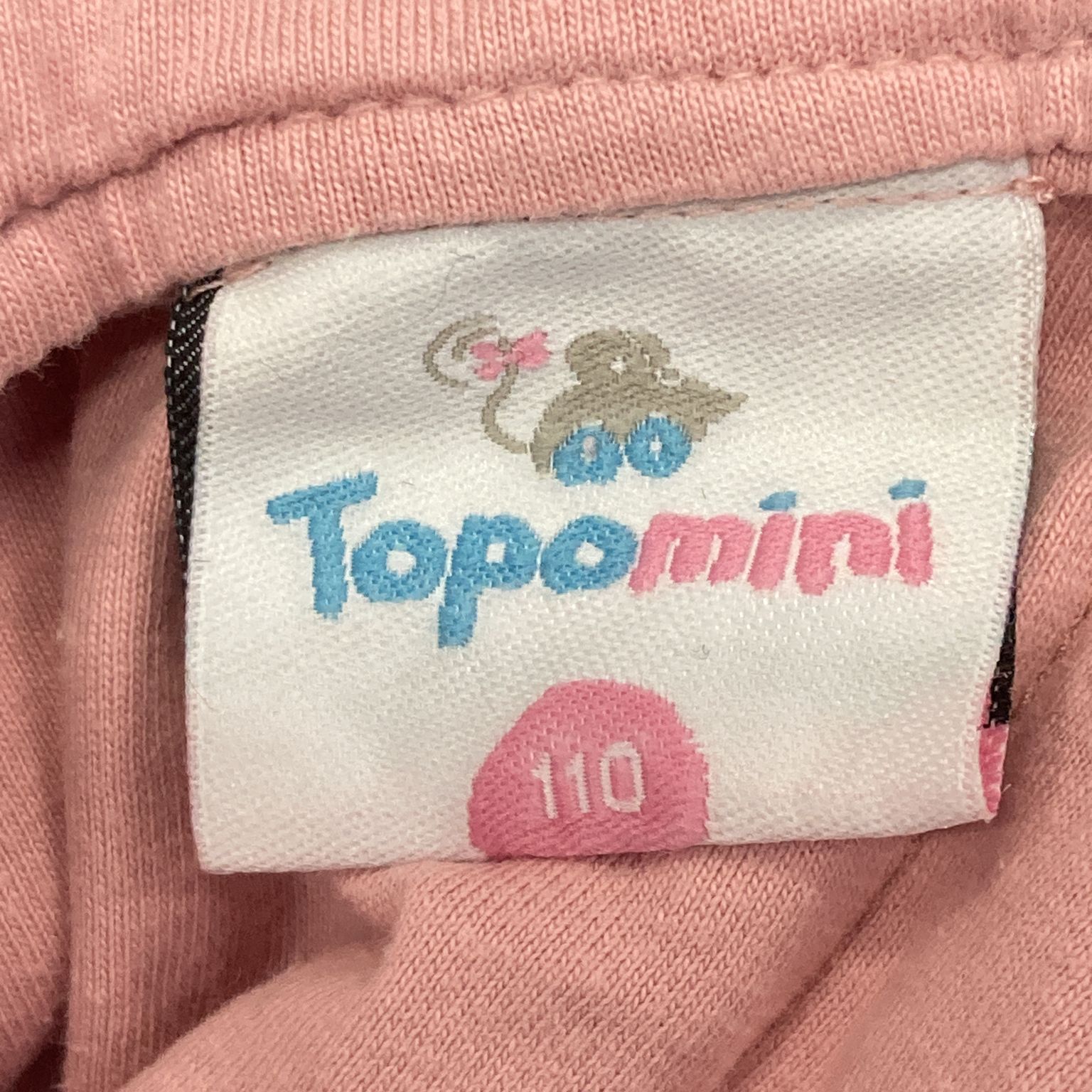 Topomini