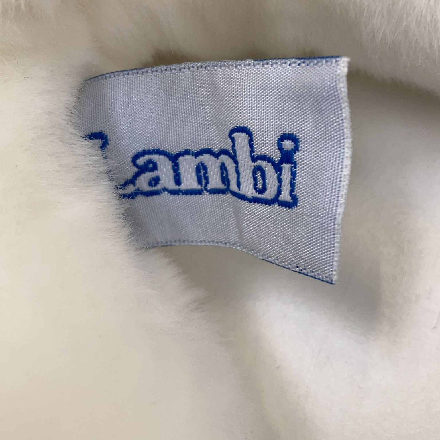 Lambi