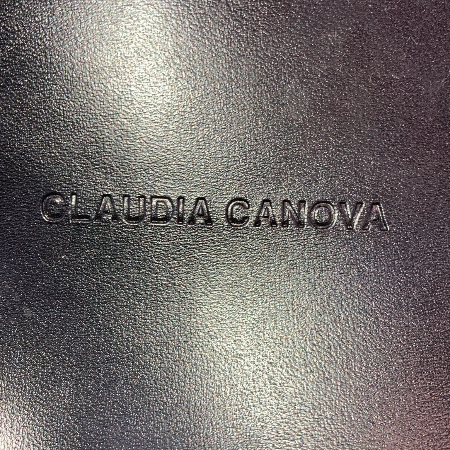 Claudia Canova