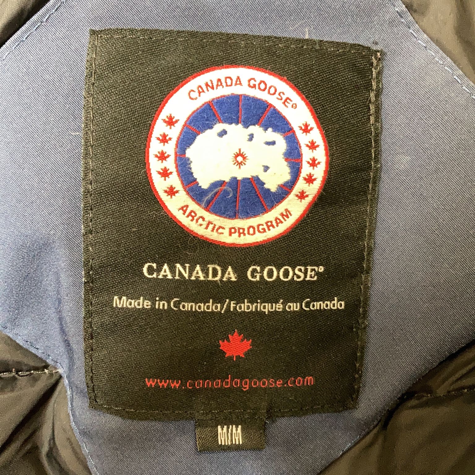 Canada Goose