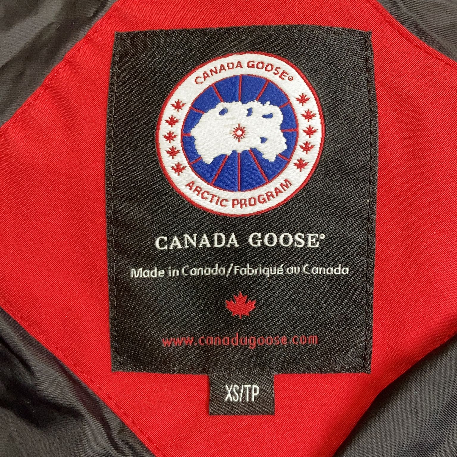 Canada Goose