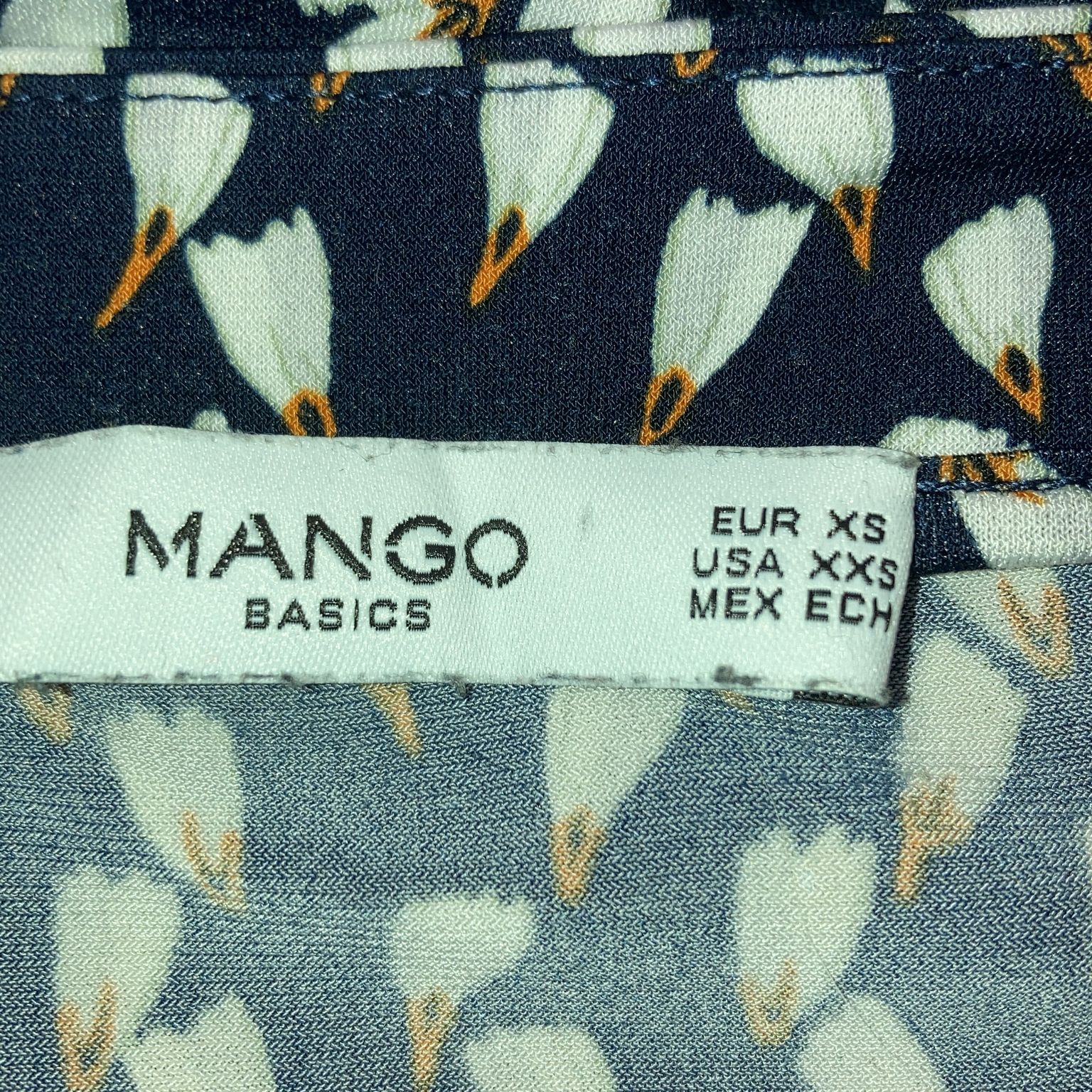 Mango Basics