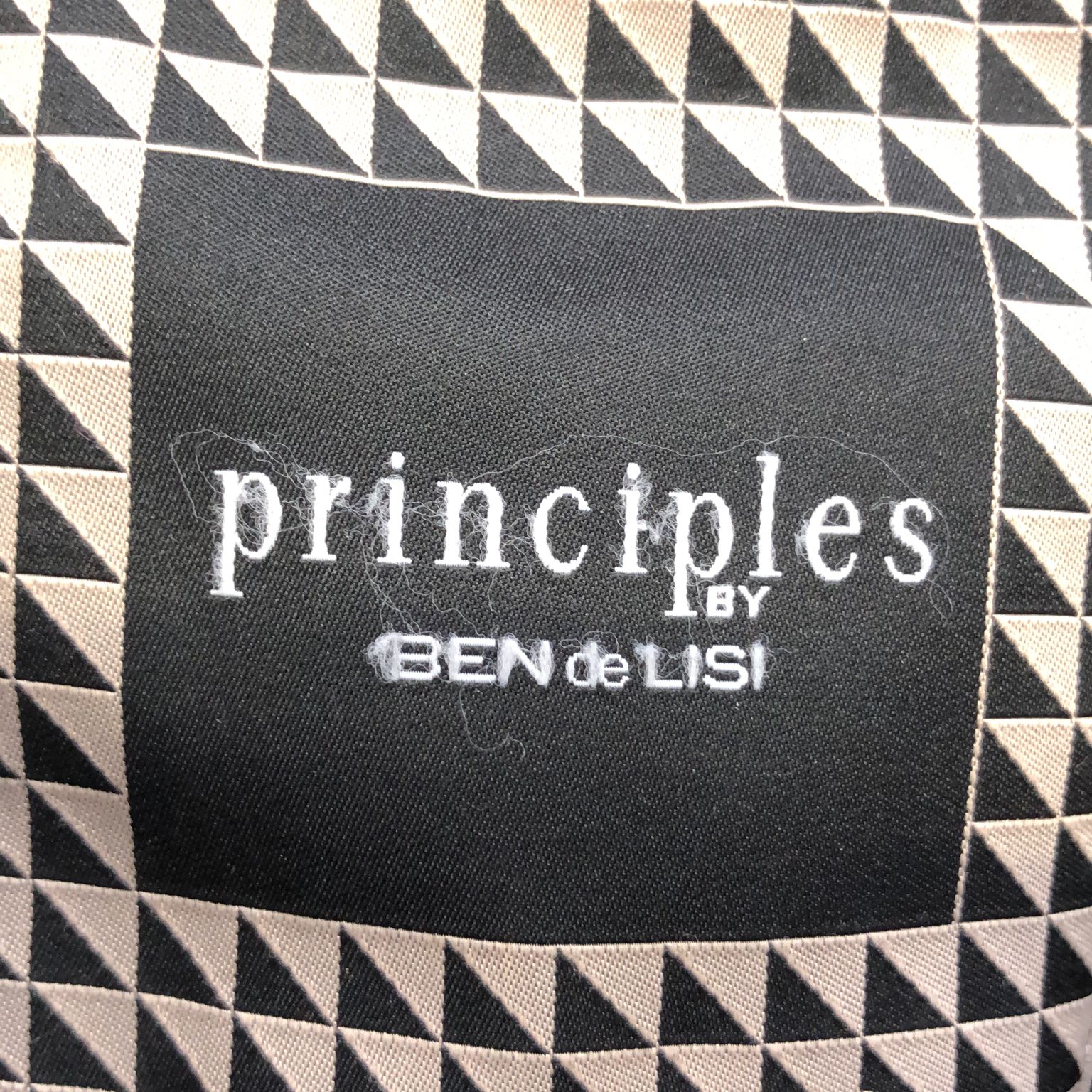 Principles by Ben de Lisi