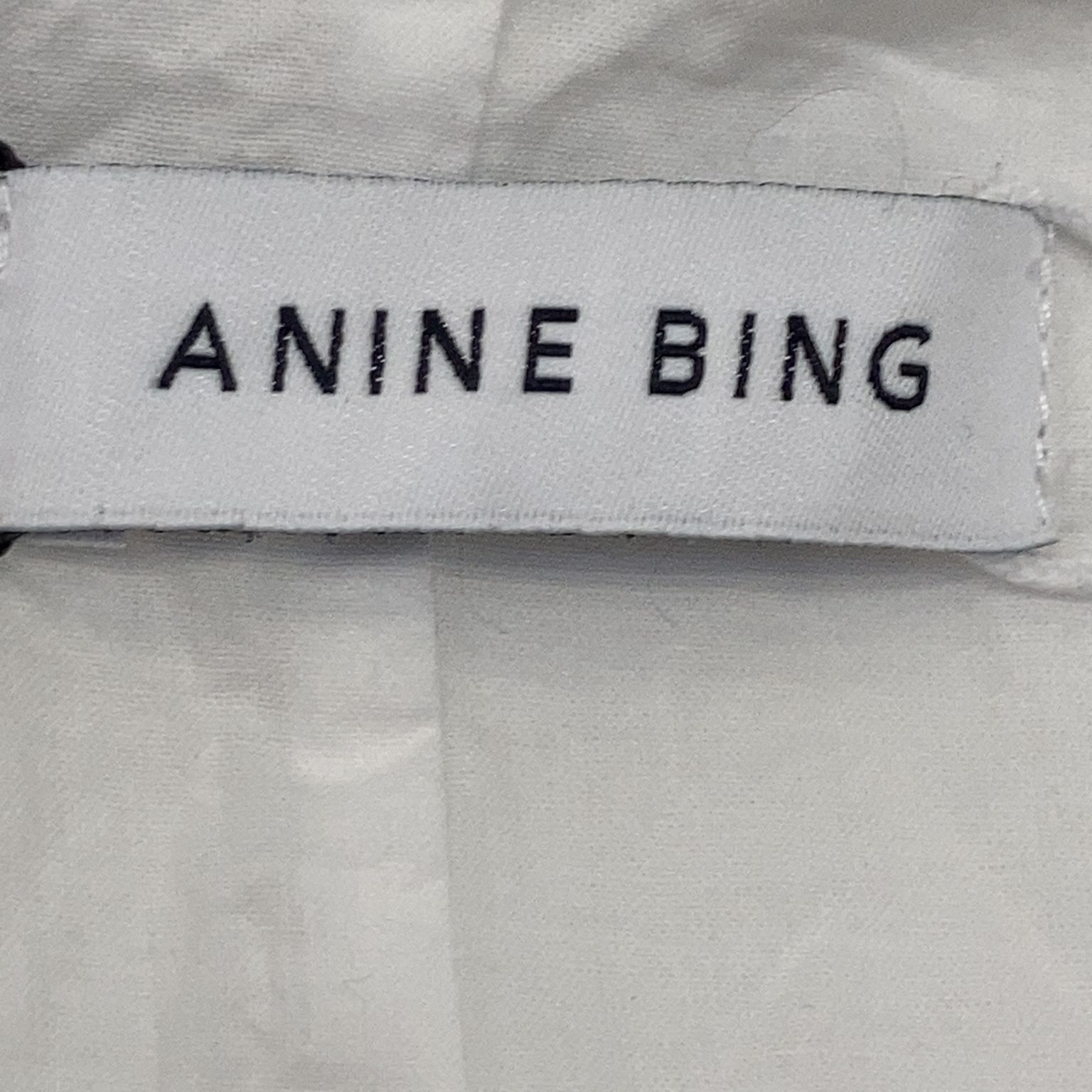 Anine Bing