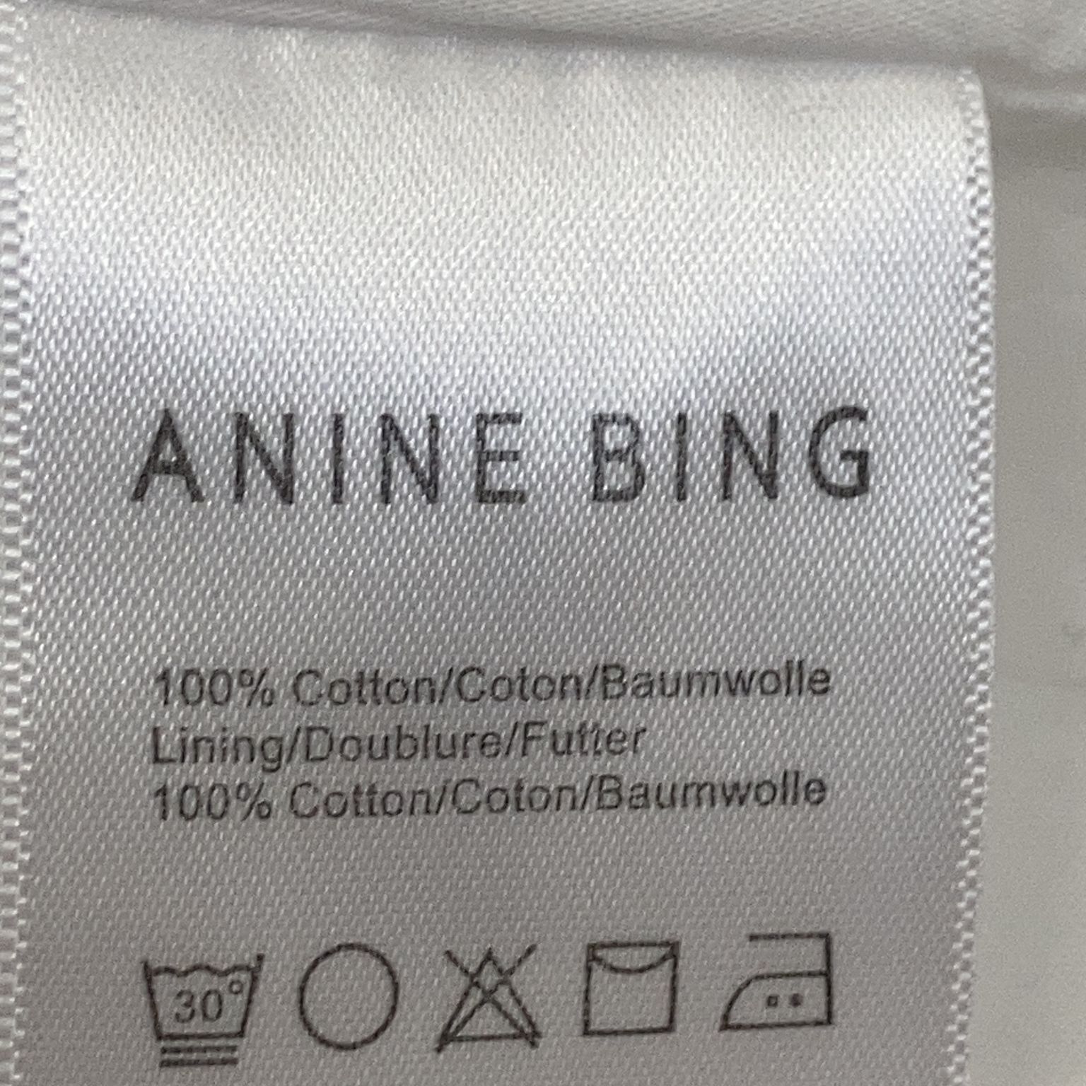 Anine Bing