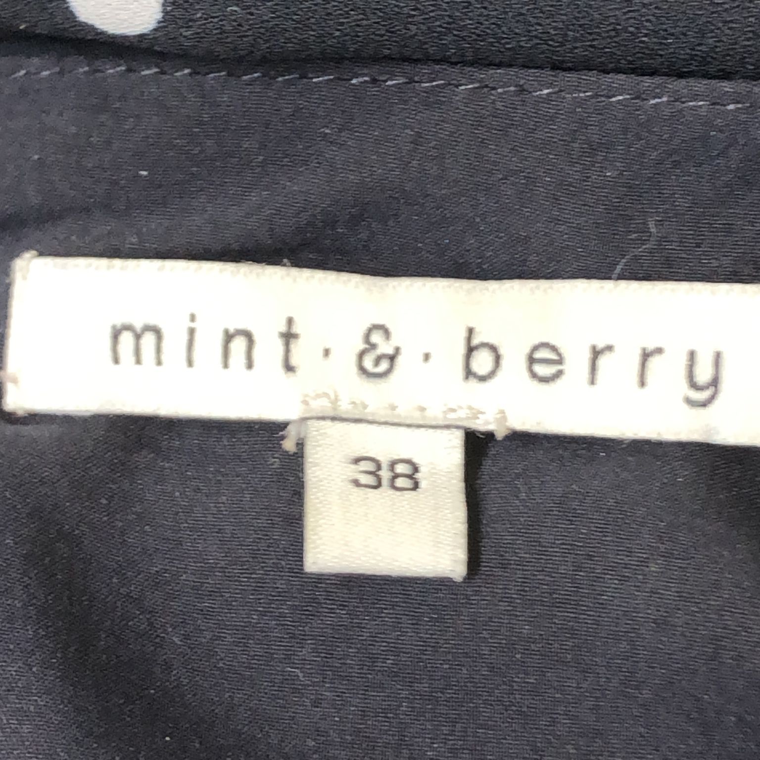 Mint  Berry