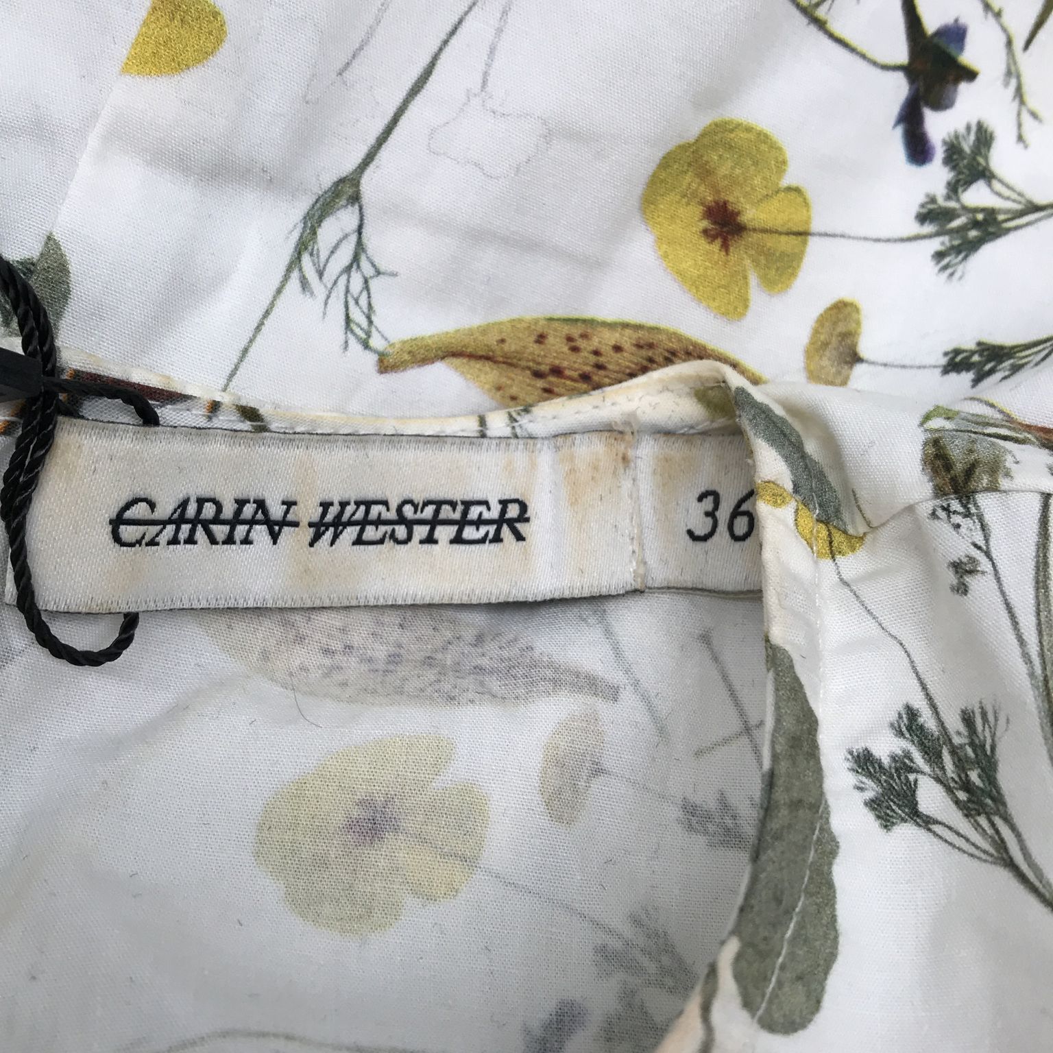 Carin Wester