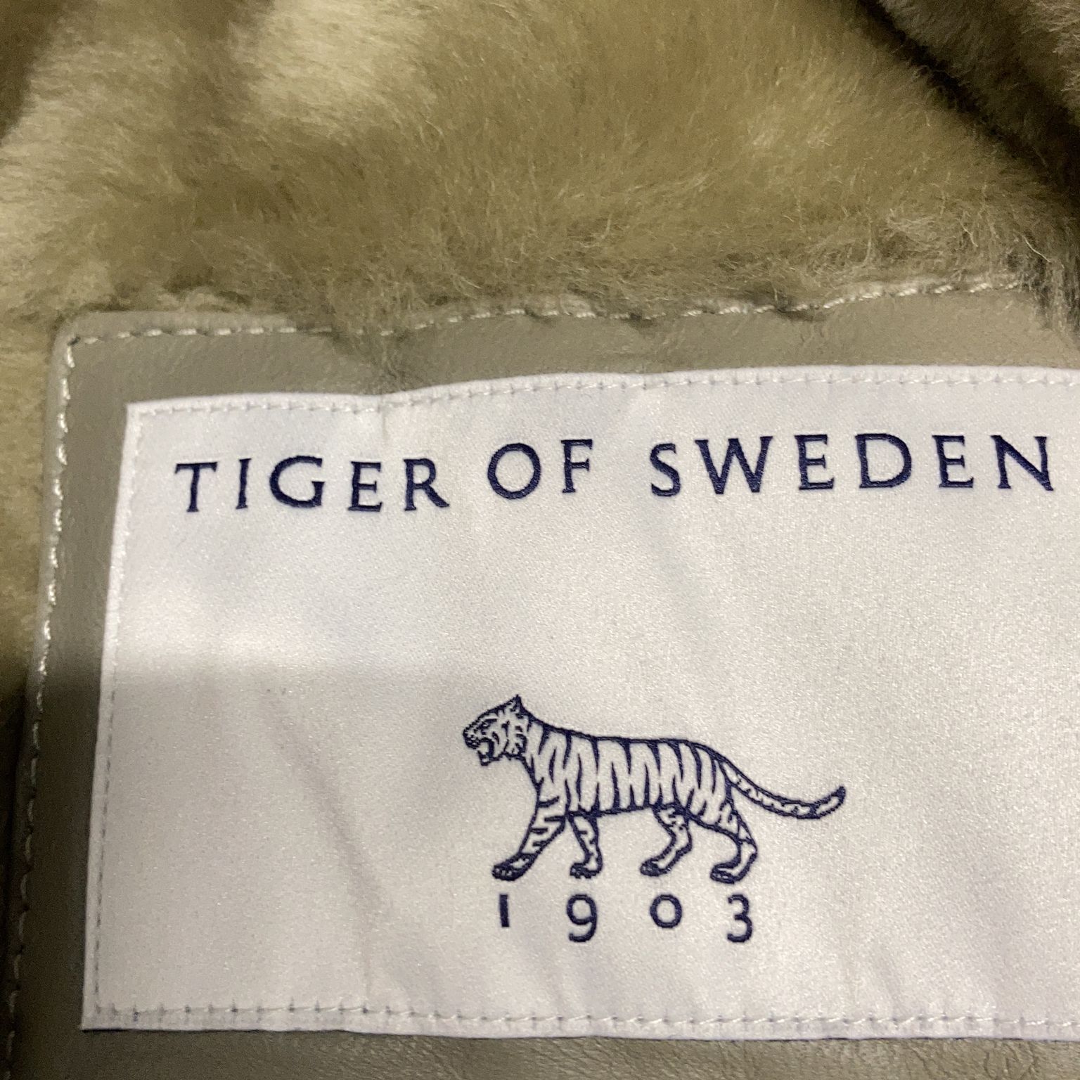 Tiger of Sweden