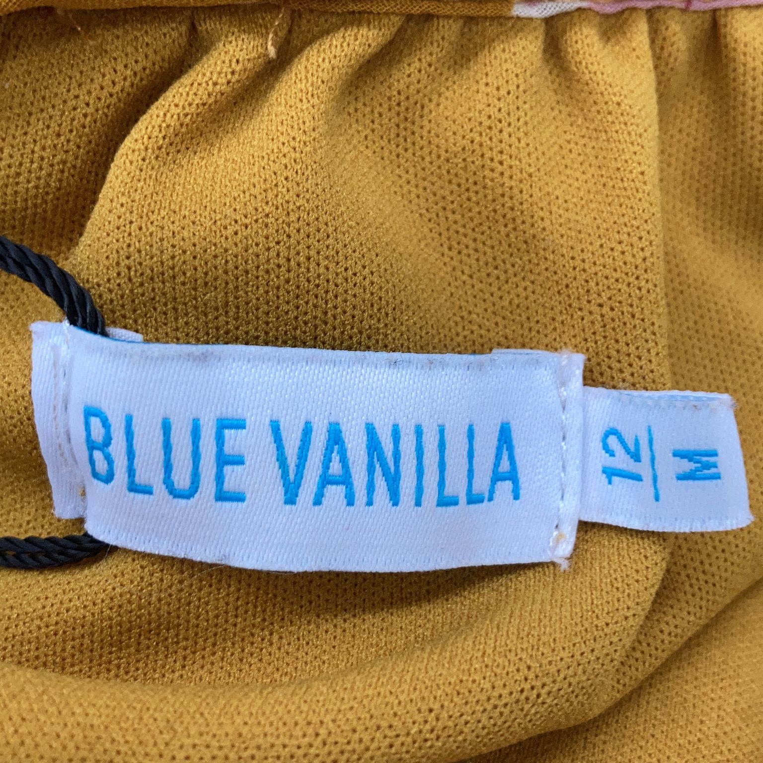 Blue Vanilla