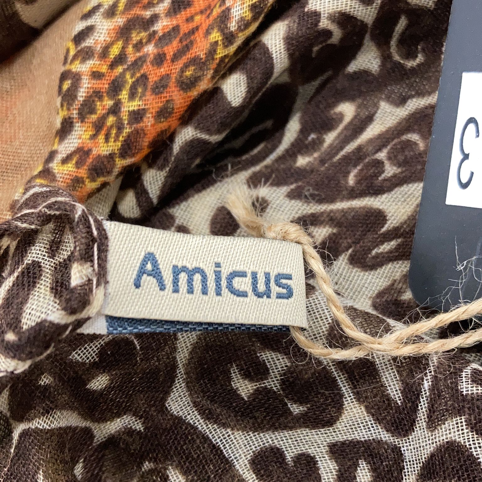 Amicus