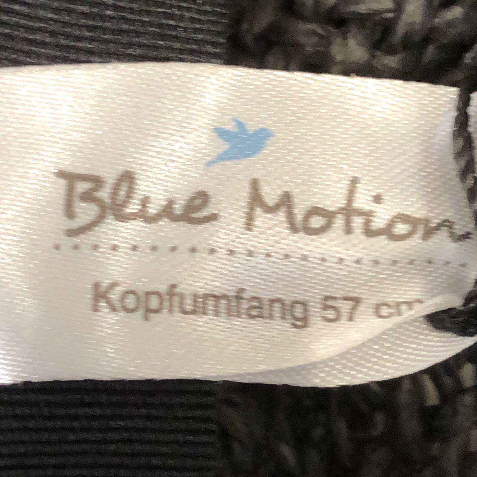 Blue Motion