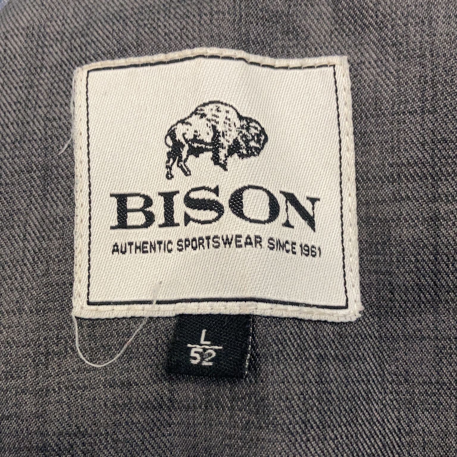 Bisón