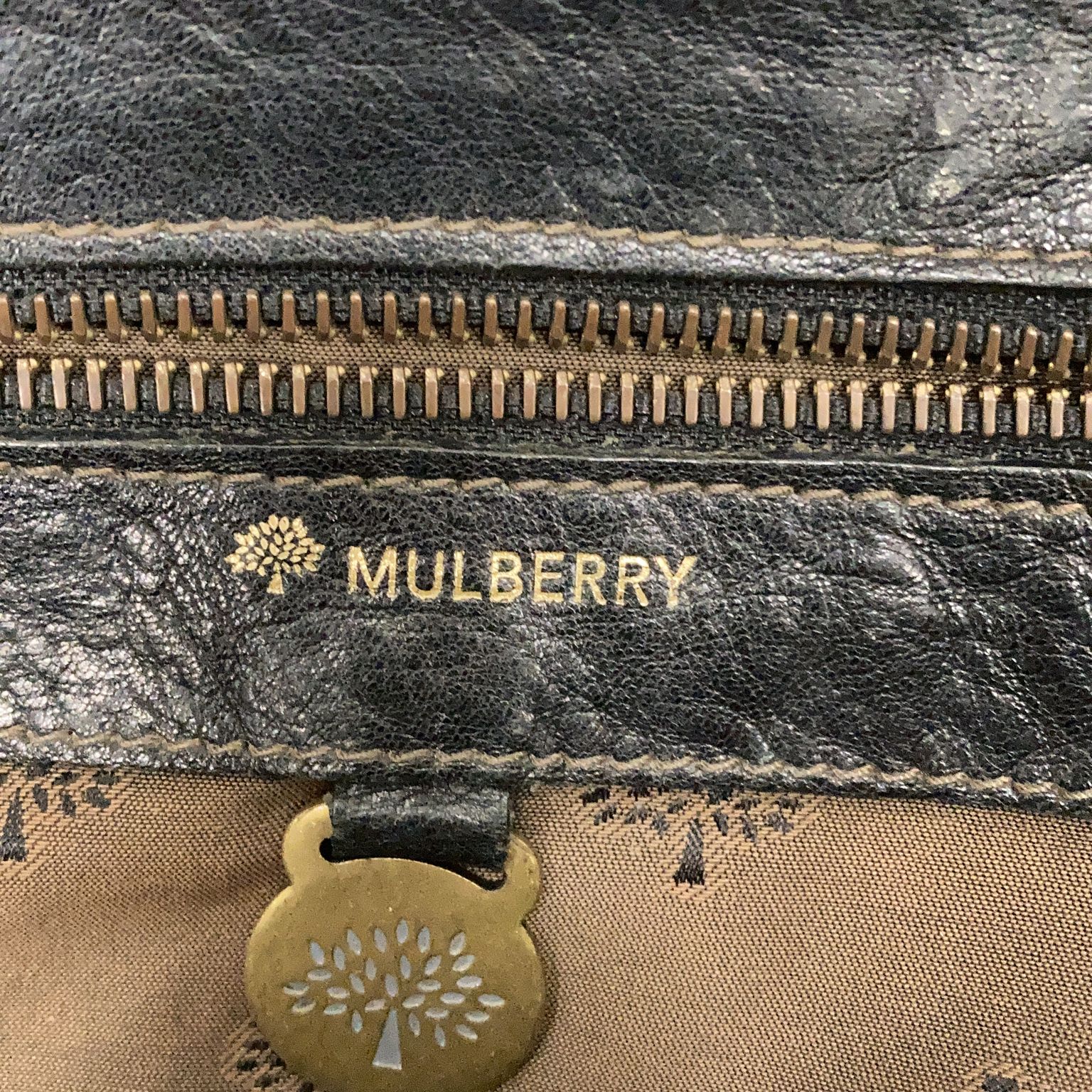 Mulberry