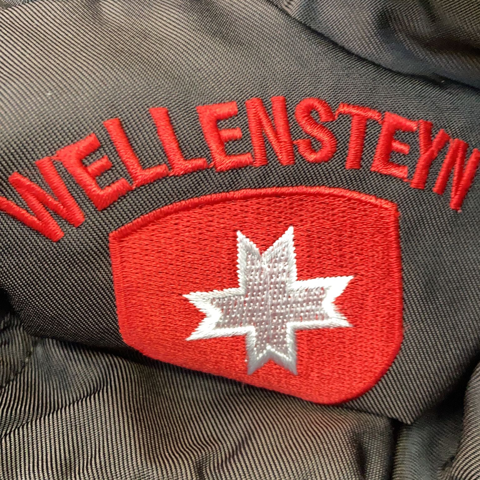 Wellensteyn