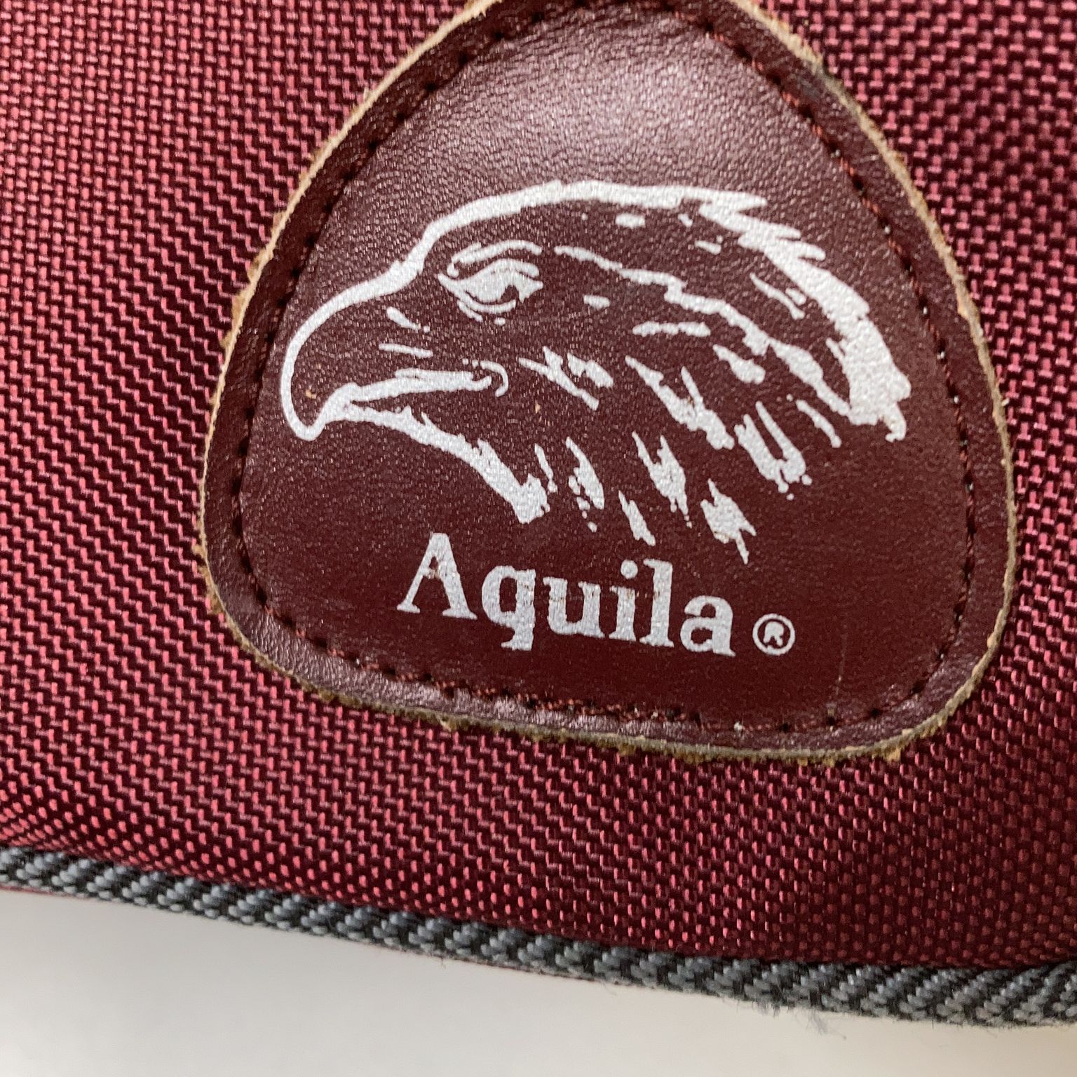 Aquila