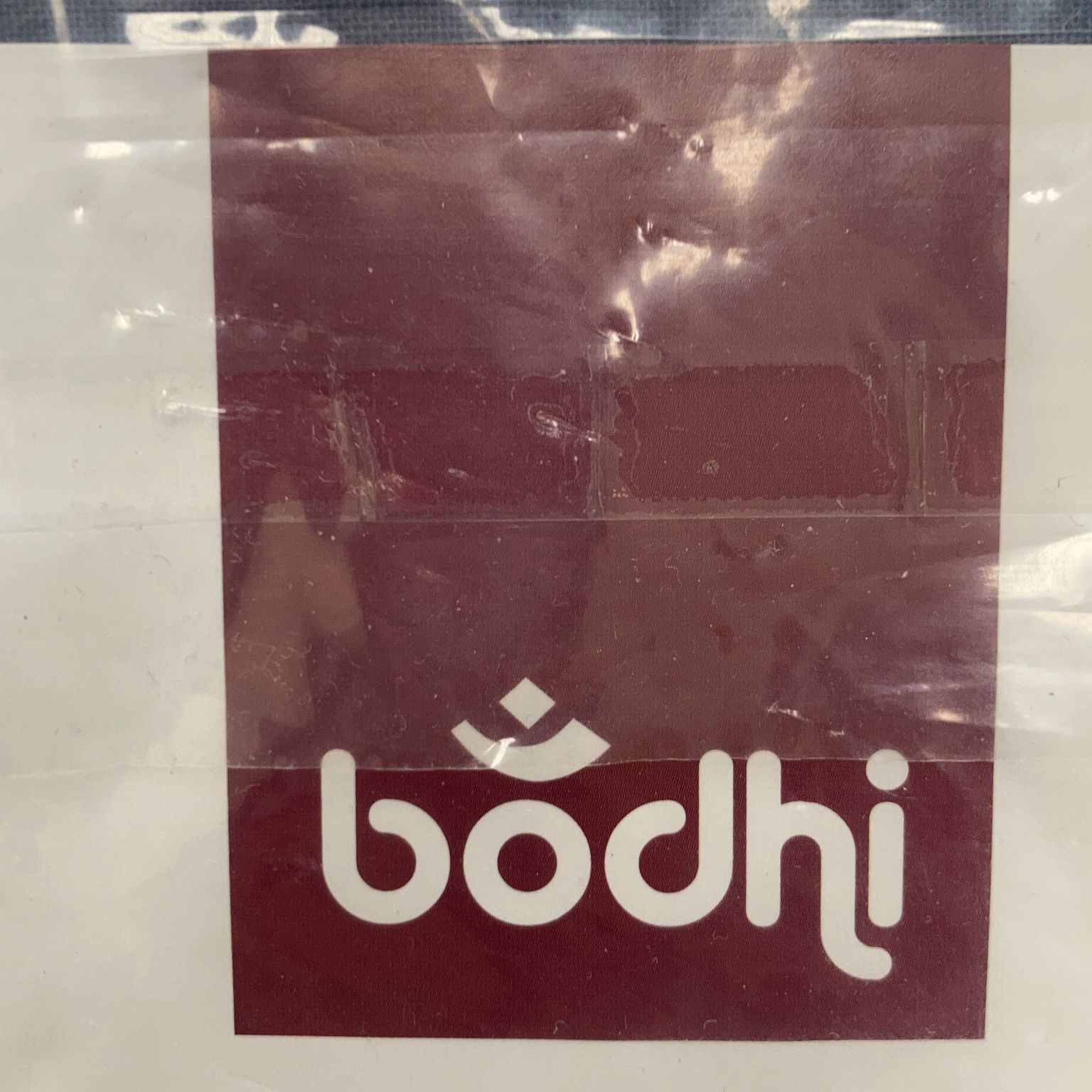 Bodhi