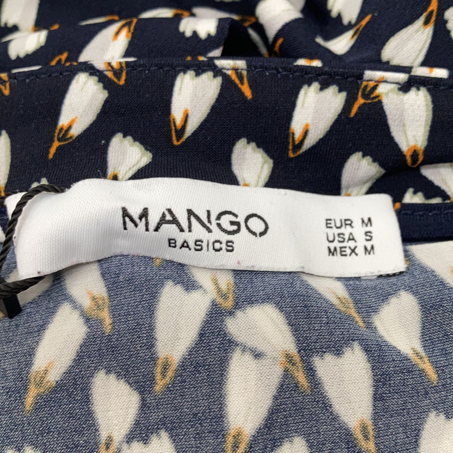 Mango Basics