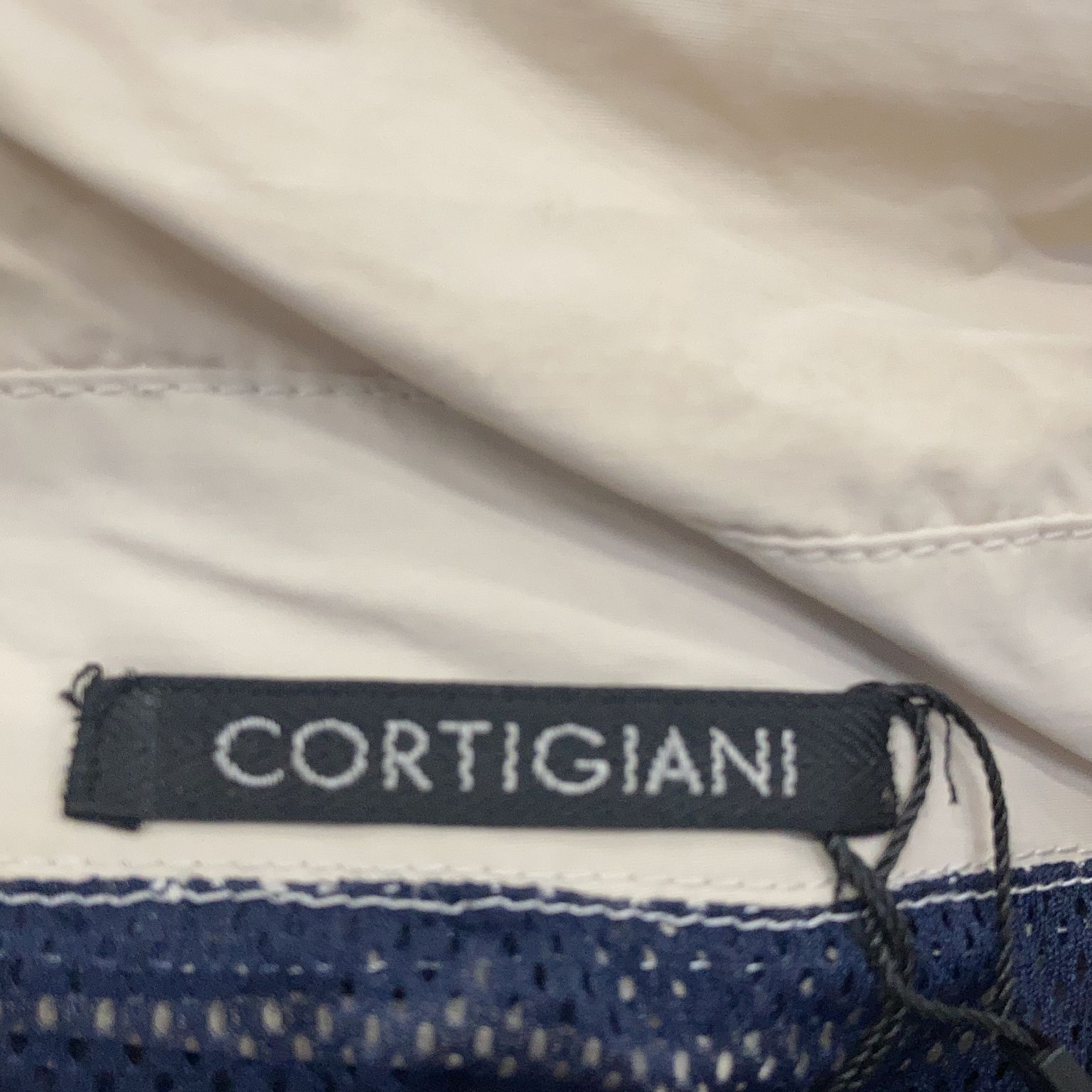 Cortigiani