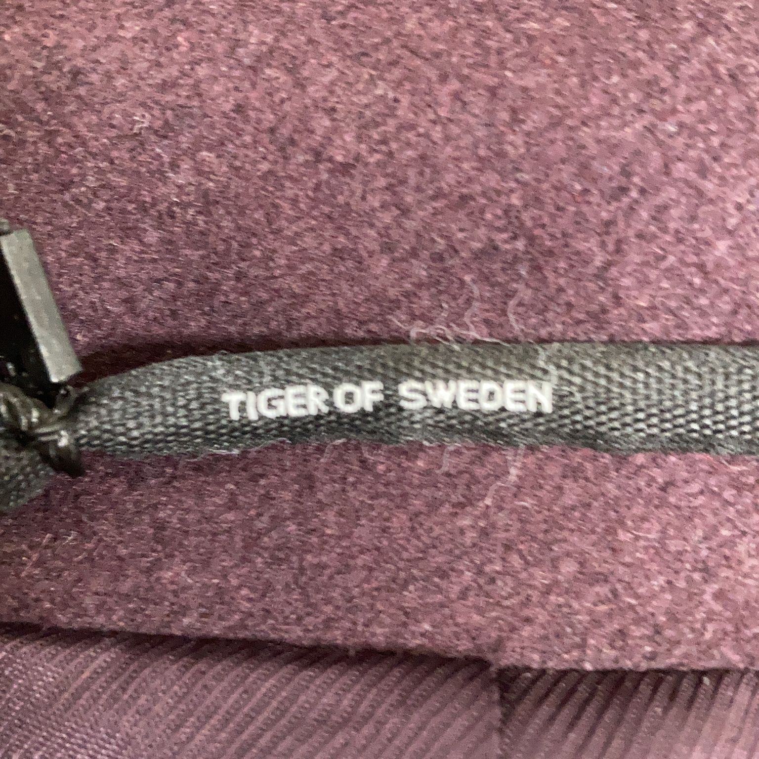 Tiger of Sweden