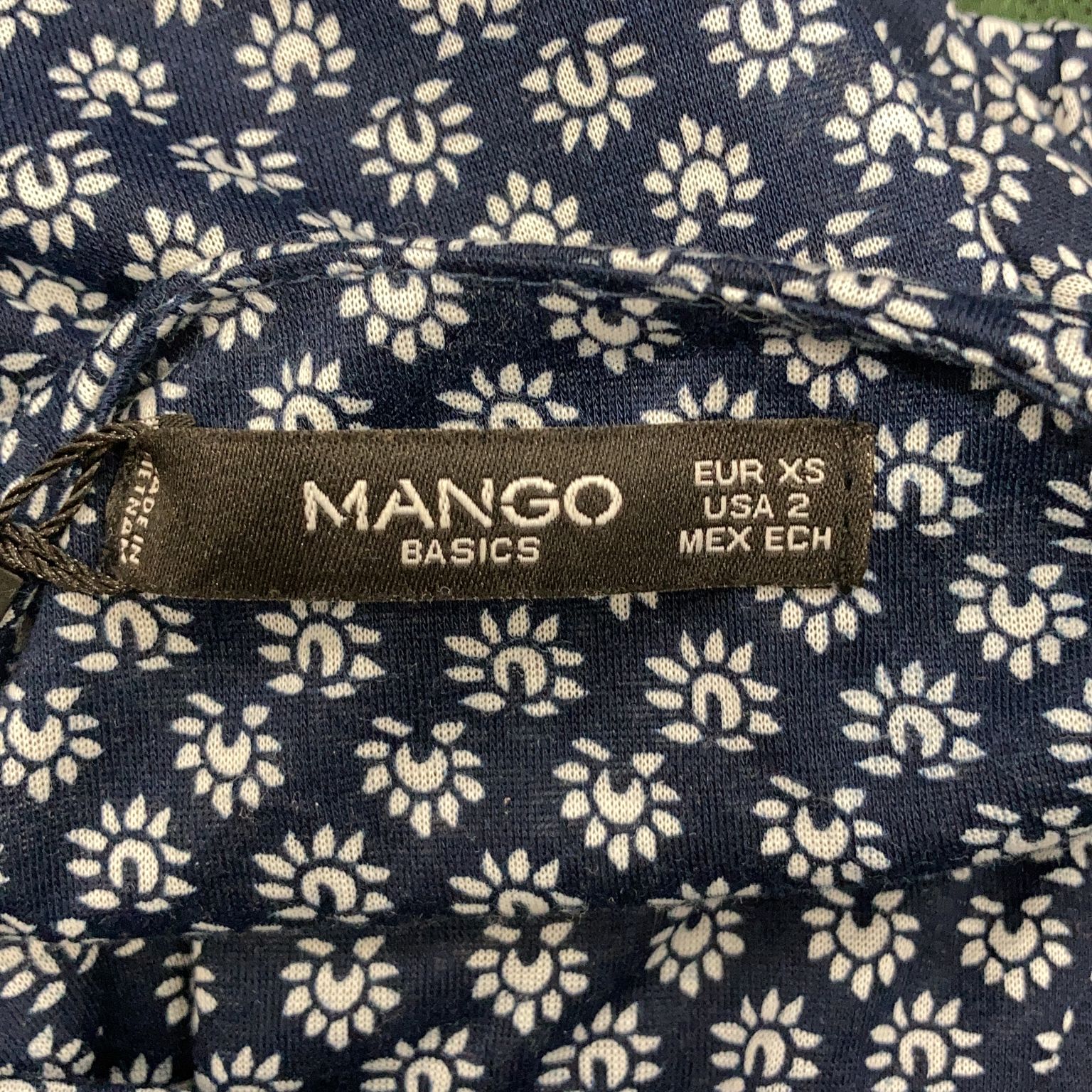 Mango Basics