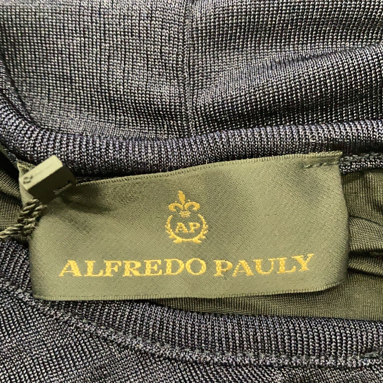 Alfredo Pauly